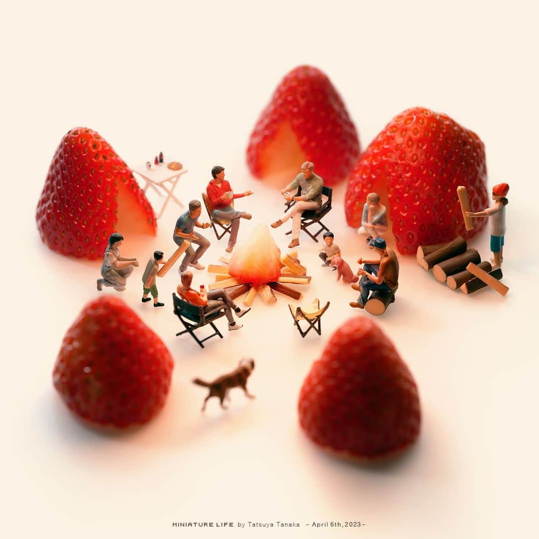 田中達也さんのインスタグラム写真 - (田中達也Instagram)「“Strawberry Tent” ⠀ 旅は“いちご”一会 ⠀ ──────────────────── 《EXHIBITION info》 ⠀ 【MINIATURE LIFE展 in 富山・氷見】 MINIATURE LIFE EXHIBITION in Toyama until :  Apr. 9, 2023 ⠀ 【MINIATURE LIFE展2 in 山形】 MINIATURE LIFE EXHIBITION2 in Yamagata until :  Apr. 16, 2023 ⠀ 【small MUJI展  日用品のたのしみ方】 small MUJI -Enjoying Everyday Item- until :  Apr. 23, 2023 ⠀ 【ミニチュアライフ 神戸エアポート】 MINIATURE LIFE × KOBE AIRPORT ⠀ ────────────────────」4月6日 7時00分 - tanaka_tatsuya