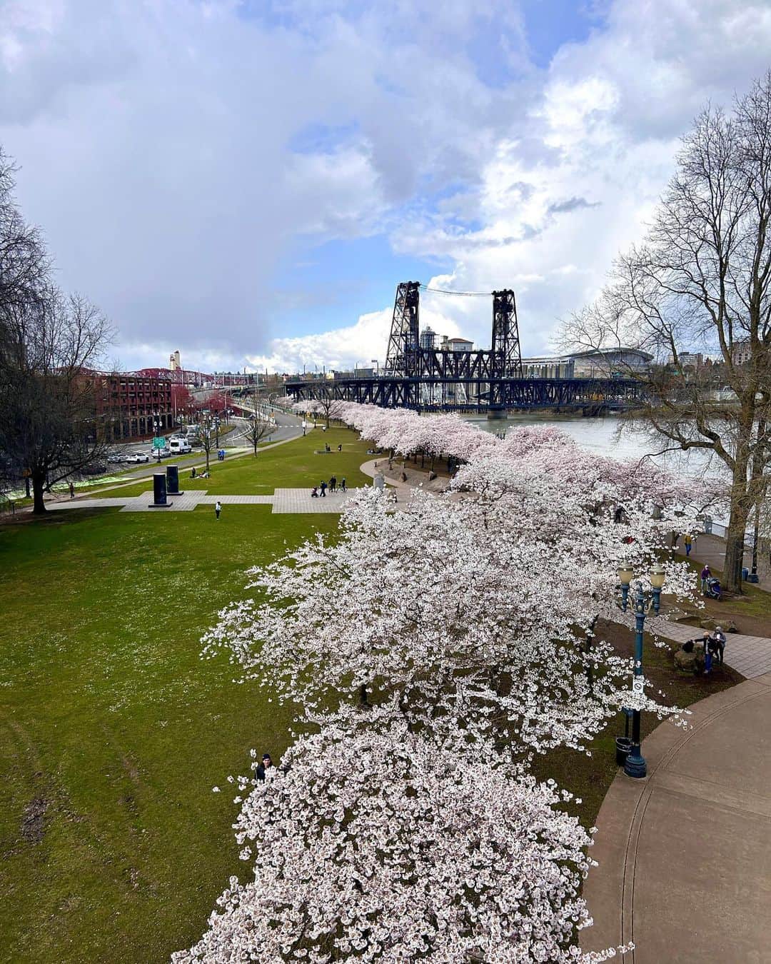 ナウのインスタグラム：「🌸 Greetings from Portland 🌸 it’s cherry blossom season ~ swipe to shop the look ~ and if you’re visiting the #portlandwaterfront fyi our store in the Pearl is a mere 11 blocks away!  #getthelook #onwednesdayswewearpink #dressforthejobyouwant #portlandcherryblossoms #postcardsfromportland #livenau #springfashion #pdxstyle #pinkfullmoon」
