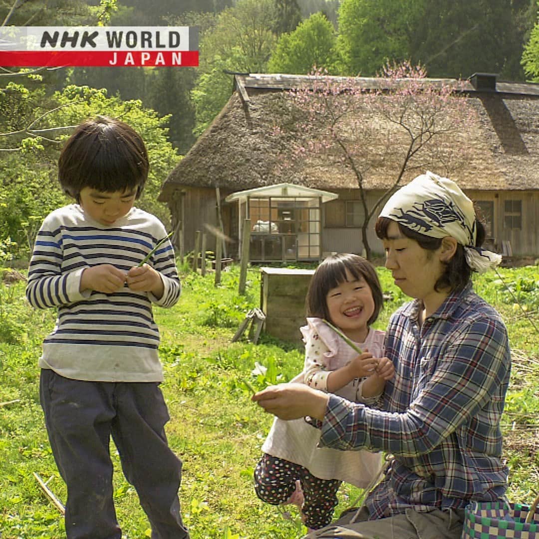 NHK「WORLD-JAPAN」さんのインスタグラム写真 - (NHK「WORLD-JAPAN」Instagram)「The Kimuras are the only people living in their remote mountain hamlet.🌳👨‍👩‍👧‍👦🌲Kimura Tomoharu came here to start a life of self-sufficiency.🌾🍅🧺 Now that he has a family, he is wondering whether living without the things that only money can buy will give his children the opportunities they need. . 👉 What will he do?｜Watch｜One Hamlet, One Family｜Free On Demand｜NHK WORLD-JAPAN website.👀 . 👉Tap in Stories/Highlights to get there.👆 . 👉Follow the link in our bio for more on the latest from Japan. . 👉If we’re on your Favorites list you won’t miss a post. . . #ruraljapan #kominka #thatchedroof #selfsufficient #sustainableliving #ricefarming #growingfood #plantingseeds #savingseeds #japanesefarmhouse #japanesehouse #oldhouse #japaneseoldhouse #古民家 #thatchedroof #thatching #traditionaljapanesehouse #traditionaljapan #japanesevillage #woodenbeams #oldjapanesehouse」4月7日 6時00分 - nhkworldjapan