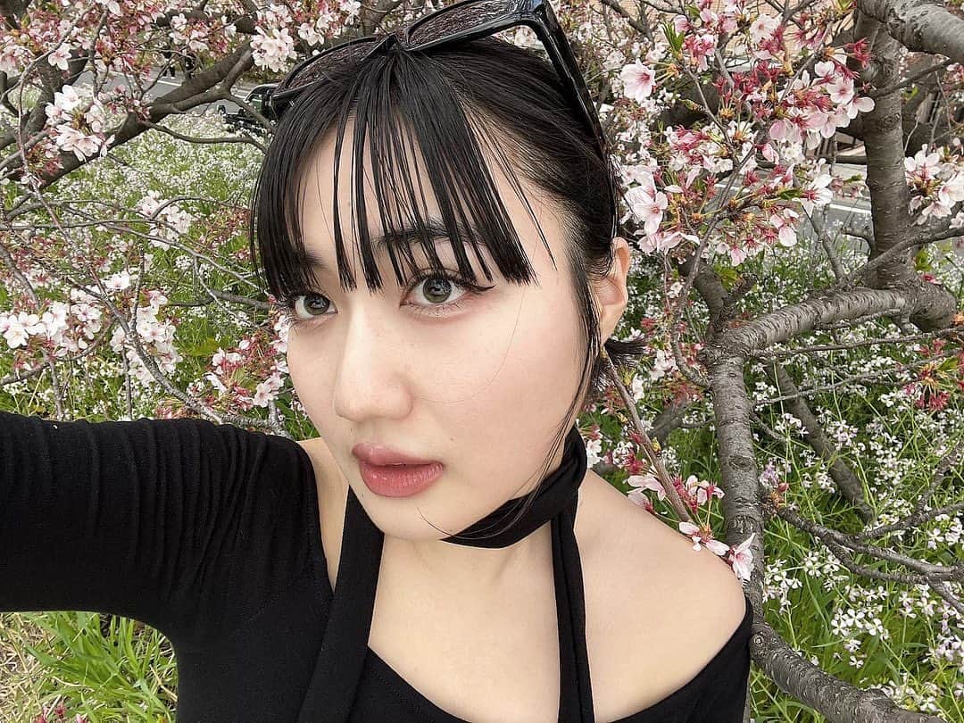 河崎みーなのインスタグラム：「🌸🌸🌸  この度ついに視力が落ちてしまい、、カラコンデビューしてみました🖤  カラコンって本当に目が宇宙人みたいになるのが苦手で今まで避けてきたけど、   @hapakristin_jp  に11.6mmのカラコンがある事を知って速攻買ってみたら目の色だけ変わってくれて、  フチは自分の黒目になるから裸眼の時の目の大きさとは変わらないのが嬉しすぎて、初めて盛れた、、ってやつ❕❕  なんだか感動して語ってましいましたが、目がデカくなるのが嫌な人にはとってもおすすめです🖤  て事で記念に自撮りアップ投稿させてもろて🫶🏻 . . .」