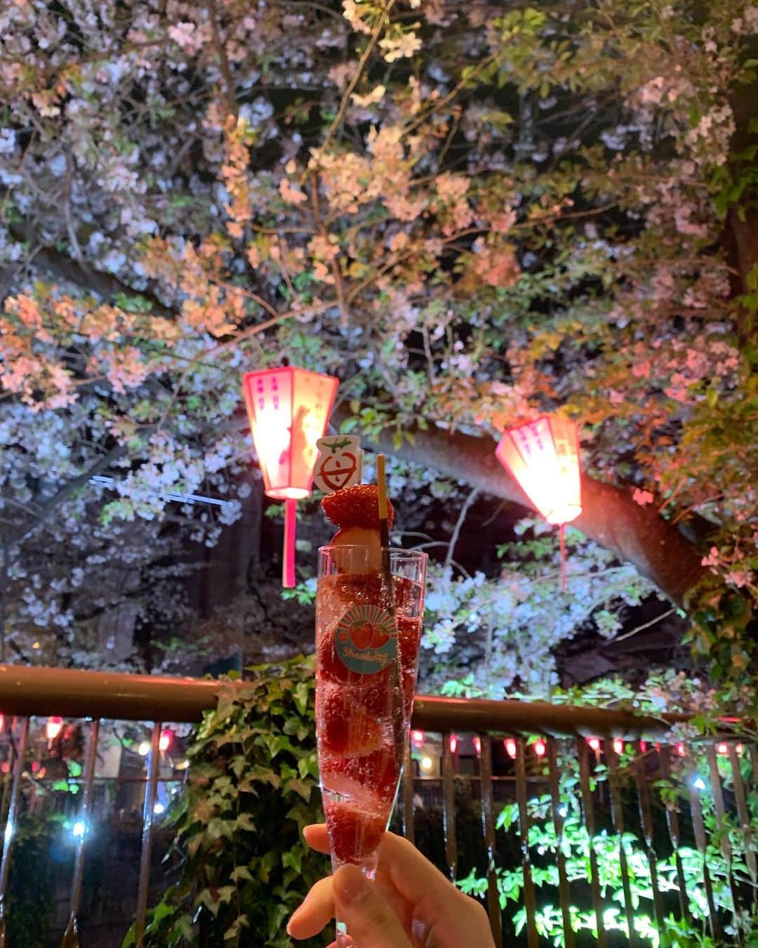 大里菜桜さんのインスタグラム写真 - (大里菜桜Instagram)「ちょっと前なんだけど、ボンクラメンバーの莉奈ちゃんと咲季ちゃんと夜桜見物をしました🌸 まだちょっと寒かったのと、人が多すぎて買いたかった屋台に辿り着けなかった💦なんとかいちごサイダー🍓🥤はゲット出来たので、みんなで乾杯したんだ🥂 この動画よく見たら、グー✊チョキ✌パー✋を高速でやってるみたい😂今年のお花見はこれが最初で最後だったけど、楽しい思い出ができたよ。ありがとう💖  #お花見#夜桜#桜#いちごサイダー#乾杯#ジャンケン#大里菜桜」4月5日 22時38分 - naooosato