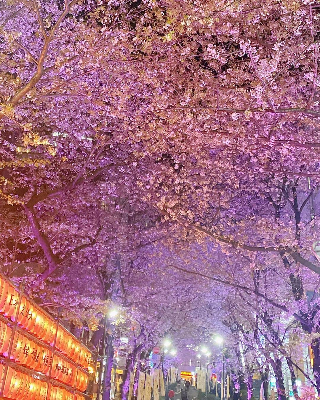 のインスタグラム：「🌸 pink moments 💕」