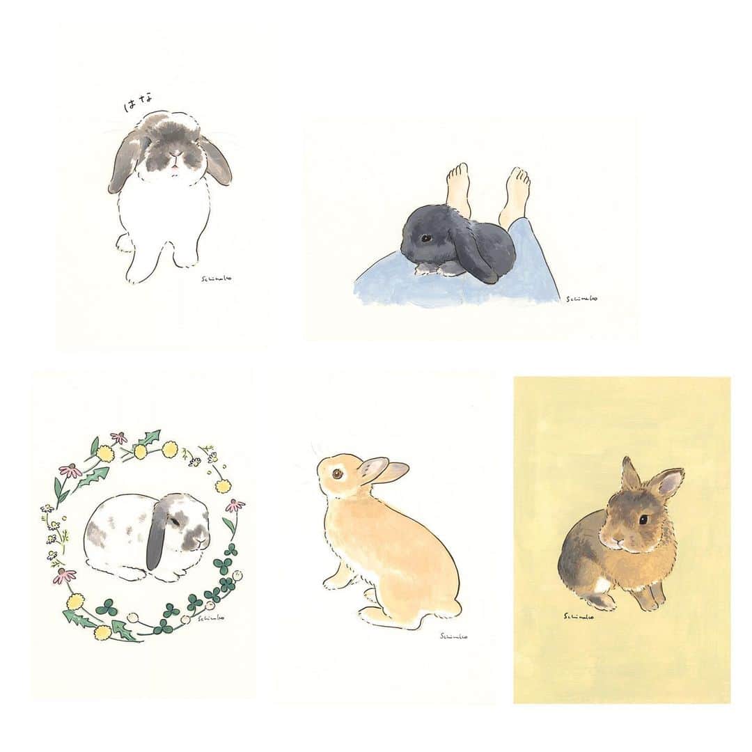 森山標子(しなこ)/Schinakoのインスタグラム：「#schinakos_rabbitportrait  These are the bunnies for March, the rabbit portraits we are accepting on the 6th of every month. They are all so cute and unique... See Rebekka's account @rebekka1020 to apply.  毎月6日に募集しているうさぎさんポートレート、3月分のうさぎさんたちです。Rebekkaさんのオンラインストアから申し込めます。 一度申し込んだ方には、新しい方に譲っていただくようお願いすることにしました。たくさん描けなくてすみません💦落ち着いたら普通に複数回申し込んでいただいても大丈夫になると思います。よろしくお願いします。」