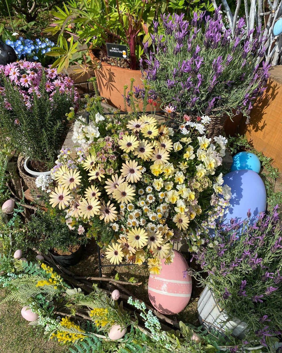 片桐優妃さんのインスタグラム写真 - (片桐優妃Instagram)「#チューリップ が見頃ということで、#四季の香ローズガーデン に行ってきました🌷 . チューリップだけじゃなくて、この時期見頃なお花がたくさん、満開🌸綺麗すぎた、、！！これが無料とか信じられない😂光が丘の住民うらやましい😱お庭のつくりかためちゃめちゃ参考になりました📝 来年は絶対おしゃれなチューリップ植えたいし#ダブルデッカー #トリプルデッカー もやりたい🪴 . 4/16までは#イースター の装飾もしてるみたいなのでぜひ🥚駐車場はないので車で行く人は近所のパーキングに停めてね🚘 . #ガーデニング #ガーデニング好きな人と繋がりたい」4月5日 23時07分 - yuki710