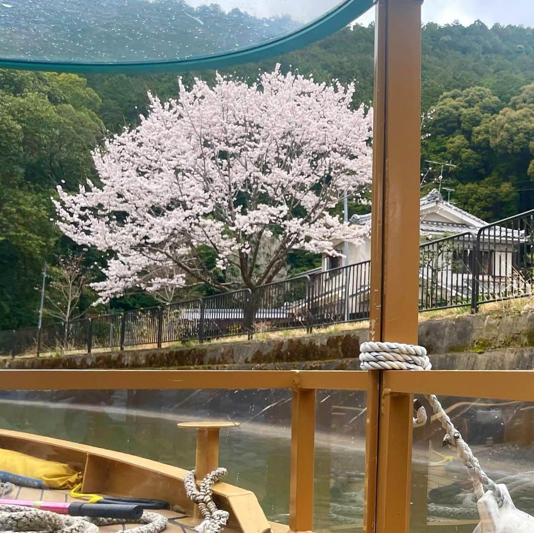 前田彩名さんのインスタグラム写真 - (前田彩名Instagram)「大津〜蹴上まで、びわ湖疏水船の旅🚤  第1トンネルの長さと竪坑の迫力に驚き、 ガイドさんの語りを聞いていると 明治の先人たちへ感謝の想いでいっぱいに。 歴史を学ぶというのは良いものですね。 トンネルを抜ける前には ほのかな明るさの中にピンク色！ 桜並木が続く感動が待ち受けていました🌸  私が乗船したのは期間前だったので まだ満開ではなかったものの、 木によっては見頃を迎えていて、 それはそれは良い景色でした🌸 菜の花とのコントラストも素晴らしい💯 それも、地元の方が植えてくださってるそうです！ お散歩中、こちらに向かって 手を振ってくださる方も多く、 地元の方々に愛されてるんだなぁと感じました☺️  ゆくゆくは琵琶湖から出発するという目標のため、 今クラウドファンディングも募っていらっしゃいます！  広大な琵琶湖から蹴上まで、 まさに疏水とともに流れゆくって どんな感じだろう🤔！！  上りと下りでスピードや見える景色が変わるそうなので、 蹴上発の便も気になる🚤✨ 毎年 春と秋の期間限定で、大人気です。 GWはまだ空きがあるとのことでしたが、お早めに！  #琵琶湖疏水 #びわ湖疏水船  #琵琶湖疏水の桜  #蹴上インクラインの桜」4月5日 23時27分 - ayana.maeda