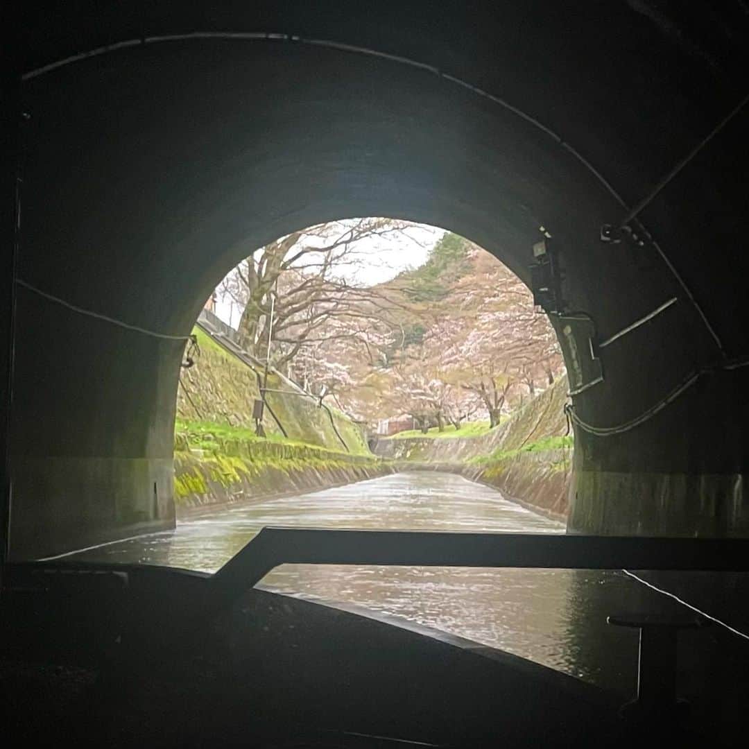 前田彩名さんのインスタグラム写真 - (前田彩名Instagram)「大津〜蹴上まで、びわ湖疏水船の旅🚤  第1トンネルの長さと竪坑の迫力に驚き、 ガイドさんの語りを聞いていると 明治の先人たちへ感謝の想いでいっぱいに。 歴史を学ぶというのは良いものですね。 トンネルを抜ける前には ほのかな明るさの中にピンク色！ 桜並木が続く感動が待ち受けていました🌸  私が乗船したのは期間前だったので まだ満開ではなかったものの、 木によっては見頃を迎えていて、 それはそれは良い景色でした🌸 菜の花とのコントラストも素晴らしい💯 それも、地元の方が植えてくださってるそうです！ お散歩中、こちらに向かって 手を振ってくださる方も多く、 地元の方々に愛されてるんだなぁと感じました☺️  ゆくゆくは琵琶湖から出発するという目標のため、 今クラウドファンディングも募っていらっしゃいます！  広大な琵琶湖から蹴上まで、 まさに疏水とともに流れゆくって どんな感じだろう🤔！！  上りと下りでスピードや見える景色が変わるそうなので、 蹴上発の便も気になる🚤✨ 毎年 春と秋の期間限定で、大人気です。 GWはまだ空きがあるとのことでしたが、お早めに！  #琵琶湖疏水 #びわ湖疏水船  #琵琶湖疏水の桜  #蹴上インクラインの桜」4月5日 23時27分 - ayana.maeda