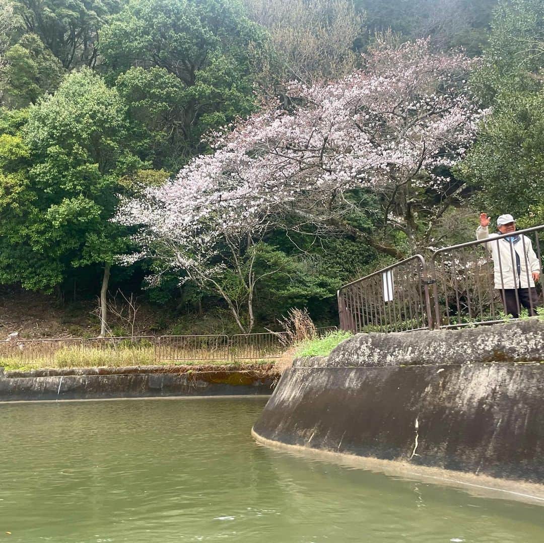 前田彩名さんのインスタグラム写真 - (前田彩名Instagram)「大津〜蹴上まで、びわ湖疏水船の旅🚤  第1トンネルの長さと竪坑の迫力に驚き、 ガイドさんの語りを聞いていると 明治の先人たちへ感謝の想いでいっぱいに。 歴史を学ぶというのは良いものですね。 トンネルを抜ける前には ほのかな明るさの中にピンク色！ 桜並木が続く感動が待ち受けていました🌸  私が乗船したのは期間前だったので まだ満開ではなかったものの、 木によっては見頃を迎えていて、 それはそれは良い景色でした🌸 菜の花とのコントラストも素晴らしい💯 それも、地元の方が植えてくださってるそうです！ お散歩中、こちらに向かって 手を振ってくださる方も多く、 地元の方々に愛されてるんだなぁと感じました☺️  ゆくゆくは琵琶湖から出発するという目標のため、 今クラウドファンディングも募っていらっしゃいます！  広大な琵琶湖から蹴上まで、 まさに疏水とともに流れゆくって どんな感じだろう🤔！！  上りと下りでスピードや見える景色が変わるそうなので、 蹴上発の便も気になる🚤✨ 毎年 春と秋の期間限定で、大人気です。 GWはまだ空きがあるとのことでしたが、お早めに！  #琵琶湖疏水 #びわ湖疏水船  #琵琶湖疏水の桜  #蹴上インクラインの桜」4月5日 23時27分 - ayana.maeda