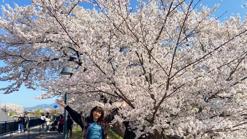 前田彩名さんのインスタグラム写真 - (前田彩名Instagram)「#桜 #桜2023  #ねじりまんぽ #草津川の桜  #草津川跡地公園 #近所の公園の桜 🌸」4月5日 23時40分 - ayana.maeda