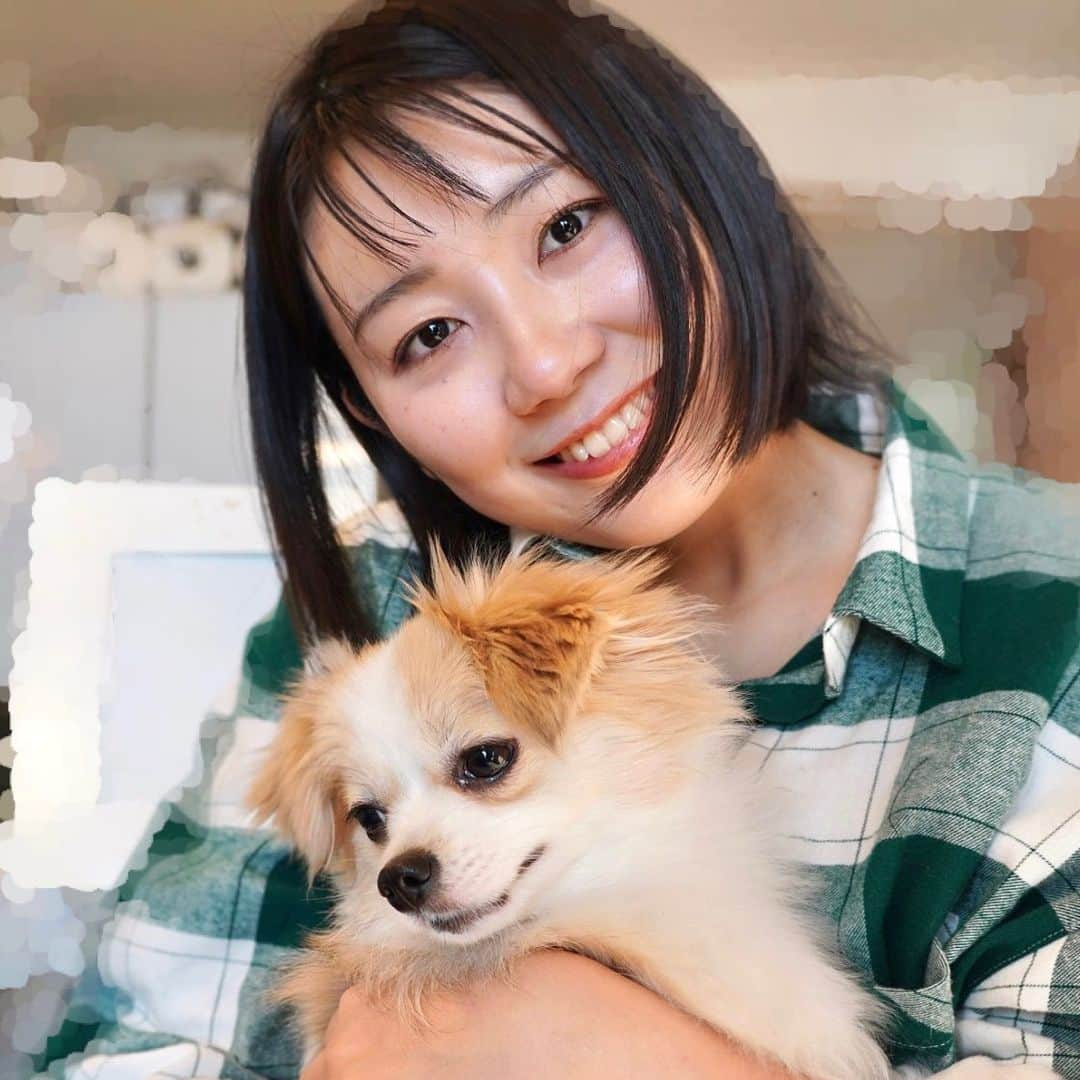 新美有加のインスタグラム：「🐾 新しいおともだち🐶  もともと人懐っこいみたいですが、 新美にも大サービスで懐いてくれたようです🥹 ※友人のわんこなのに我が物顔で可愛がっています。  #犬派 #ミックス犬 #休日の過ごし方 #チワマル #マルチワ」