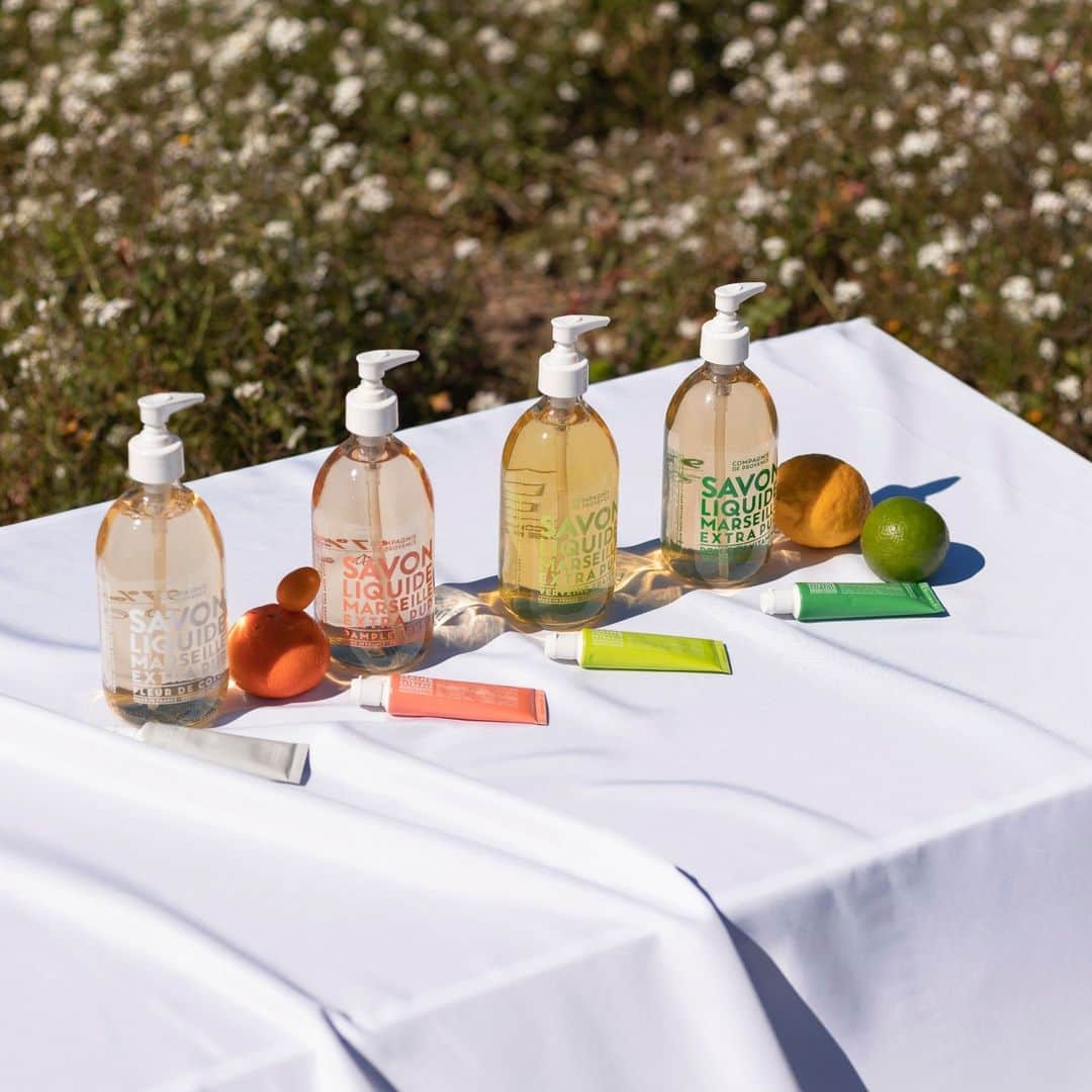 のインスタグラム：「La famille Extra Pur ☀️ ⁠ ⁠ On l'aime pour ses iconiques savons liquides de Marseille aux senteurs évoquant la Provence, ses flacons en verre rechargeables ou encore son design optimiste et coloré.⁠ ⁠ Pour de la douceur, optez pour notre savon liquide Fleur de Coton 🌼 ⁠ Pour son côté romantique,, craquez pour le savon liquide Rose Sauvage 🌹 ⁠ Pour un coup de boost, optez pour le savon liquide Verveine 🌿 ⁠ Pour une balade en bord de mer, choisissez le savon liquide Méditerranée 🌊 ⁠ ⁠ Alors, quel savon liquide de Marseille Extra Pur est fait pour vous ? ⁠ ⁠ --⁠ ⁠ The Extra Pur Family ☀️ ⁠ ⁠ We love it for its iconic Marseille liquid soaps with scents reminiscent of Provence, its refillable glass bottles or its optimistic and colorful design.⁠ ⁠ #compagniedeprovence #vegetableoils #naturalproductstv #naturalskincare #igersmarseille #igersaixenprovence #handcream #crememains #cremepourlesmains #savonliquide #liquidesoap #bathroom #design #deco #interior #homeinterior #minimalist #musthave #skincare #cosmetics #avril #april #printemps #provence⁠」