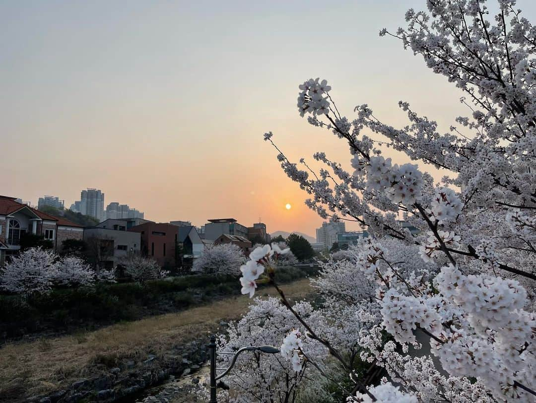 キム・ヨンジさんのインスタグラム写真 - (キム・ヨンジInstagram)「예쁜순간을 눈에담고 느낄수있어서 놓치지않아서 참 다행이다.  이날이 더 아름다웠던건 대화속에 오가는 의미있는 이야기들이 마음한가득 좋은에너지로 채워졌기 때문이겠지. 그 느낌은 온몸으로 기억하니까.  그래서 인지 표정이 이리편하게 찍힌건 오랜만인 것 같다.  고마운 인연에 감사하며.. 모두의 봄은 더욱 길게 이어지기를..🤍 굿나잇🫶」4月6日 0時29分 - rorakim0927