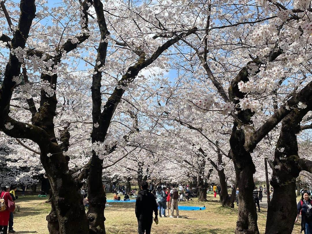 ハキム・カスバンさんのインスタグラム写真 - (ハキム・カスバンInstagram)「Japan ‘23⁣⁣⁣ ⁣⁣⁣ Fav bits from a short trip.⁣⁣⁣ ⁣⁣⁣ Also new blog post. Link in bio~⁣⁣⁣ ⁣⁣⁣ @boruda.sg⁣⁣⁣ @heavy.japan⁣⁣⁣⁣⁣ @reddotrunningco⁣⁣⁣ ⁣⁣⁣⁣⁣ #wmvボルダー #climbing #bouldering #dyno #heavyjapan #teamRDRC #RDRCsg #borudasg #thisishowifuel #fueledwithAMMO」4月6日 0時31分 - h_keeem