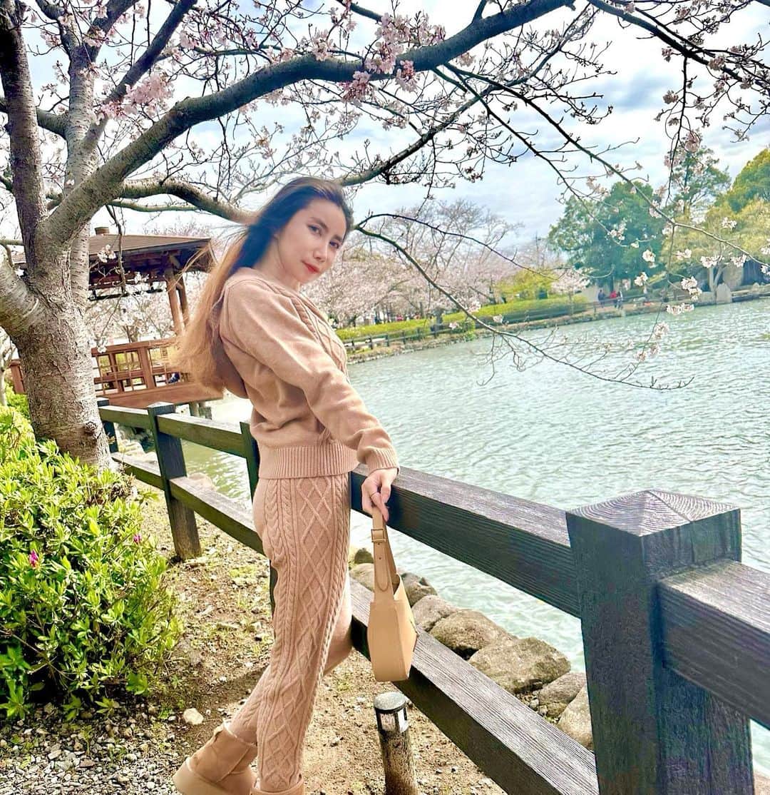 fashion dog loverのインスタグラム
