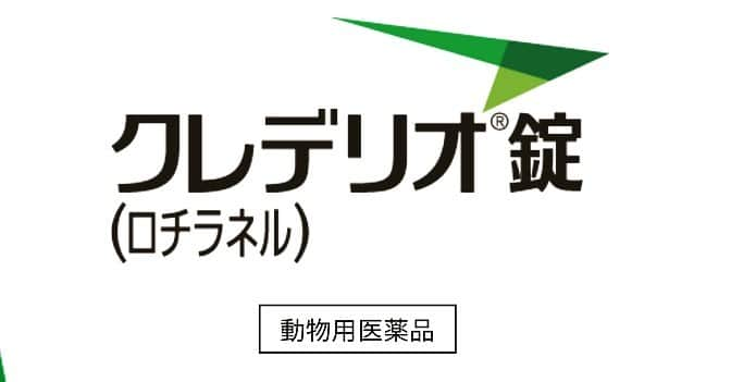 渡部幸也のインスタグラム：「ヘアメイク担当させていただいたCM、こちらもオンエアされてました💁🏼‍♂️  riLLa  渡部幸也　  #ヘアスタイル #ヘア #髪型 #ヘアカタログ #ヘアセット #グリコ #透明感カラー #hair #恵比寿美容院 #代官山美容室 #代官山美容院 #美容学生 #中目黒美容師 #恵比寿グルメ #美容師 #恵比寿美容師 #中目黒美容室 #中目黒美容院 #恵比寿美容室 #サロンモデル #中目黒ランチ #恵比寿ランチ #riLLa #中目黒 #代官山 #恵比寿 #猫 #犬 #riLLa中目黒  #猫のいる暮らし」