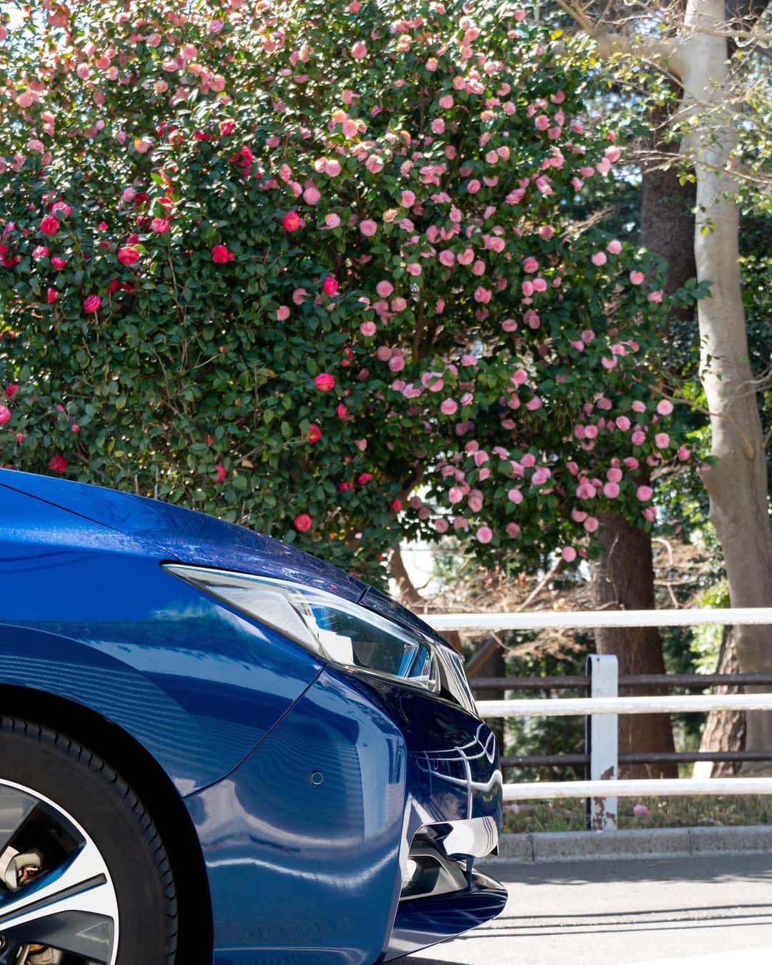 Nissanさんのインスタグラム写真 - (NissanInstagram)「The start of blooming season in Japan! Thank you @elmejor.japan for capturing your #NissanLEAF spring moments with #MyNissanAdventure!」4月10日 22時00分 - nissan