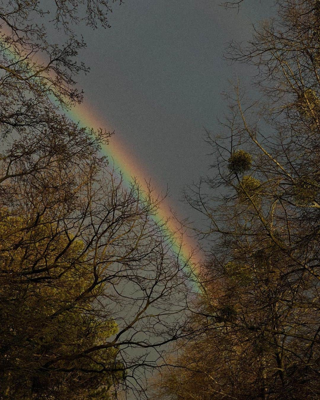 エイドリアン・コレシャさんのインスタグラム写真 - (エイドリアン・コレシャInstagram)「Die Natur hat sich ganz oft was dabei gedacht. Please swipe. Wir sind alle bunt und schön. Das darfst du niemals vergessen 🫶🏼. Und wenn doch, komm hierher zurück. Ich zeigs dir.」4月6日 3時03分 - adrienne_koleszar