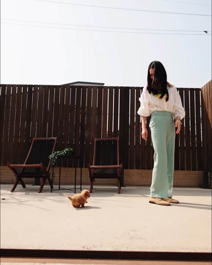 のインスタグラム：「All found home before we had a chance to share the videos!  CARAMEL of KPUPS ROLLY of ROLLY 😆 PEBBLES of ROLLY  Have no doubt! ROLLY and KPUPS will not disappoint you. 🙏」