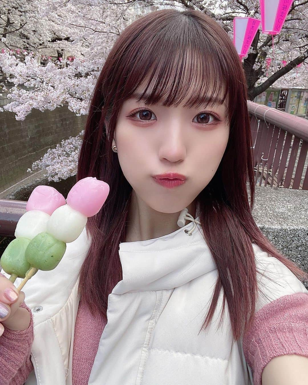 横山なつみさんのインスタグラム写真 - (横山なつみInstagram)「.  🌸🍡🤍  目黒川いった日〜 この日は天気も良くてきもちよかった 満開の桜でお花見できて 良い春を過ごせた☁️☁️  #目黒川 #目黒川の桜  #お花見 #お花見コーデ」4月6日 15時35分 - ___natsumi327