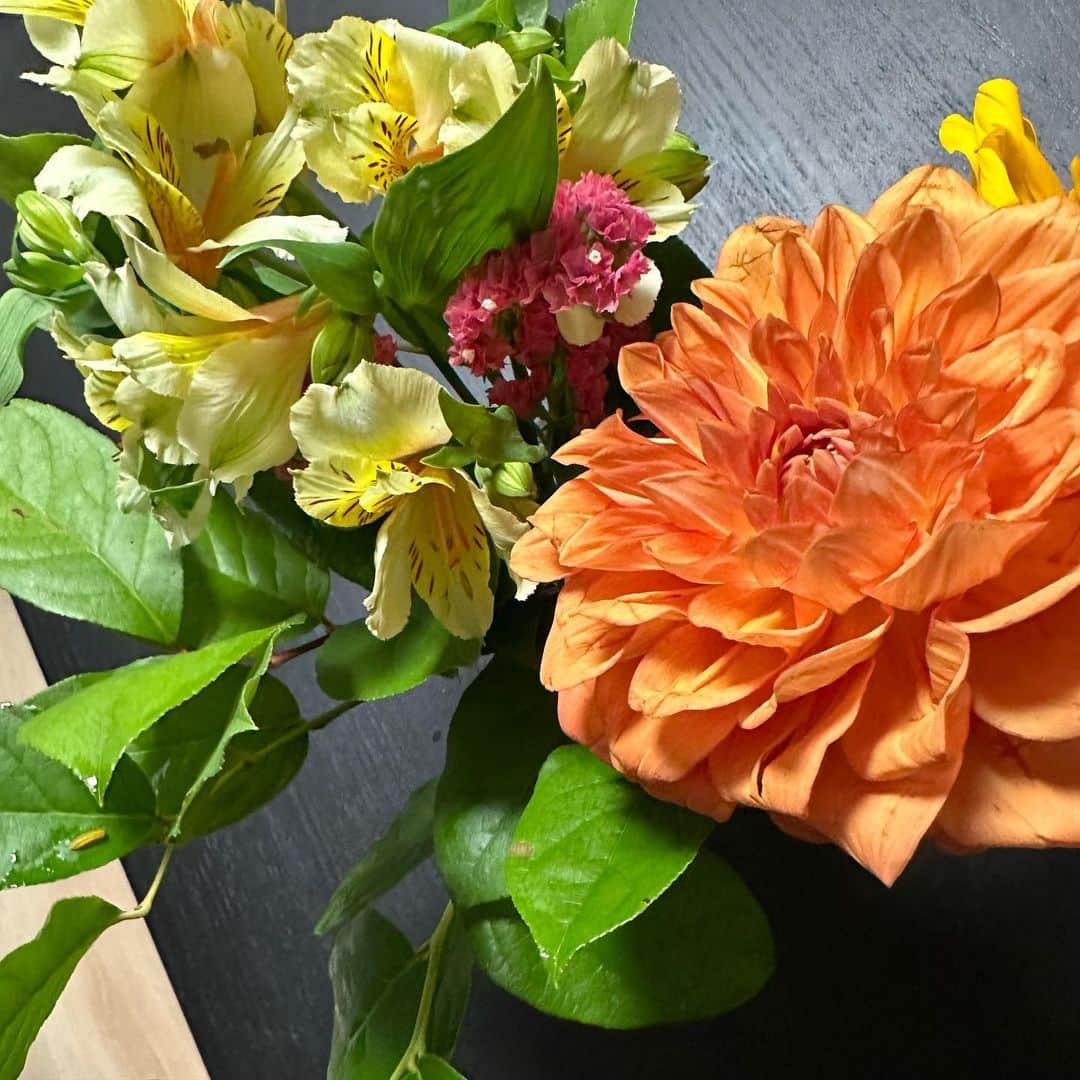 安元洋貴さんのインスタグラム写真 - (安元洋貴Instagram)「なんかこーたろーが花くれた ちゃんと飾った」4月6日 15時36分 - __yasumoto__