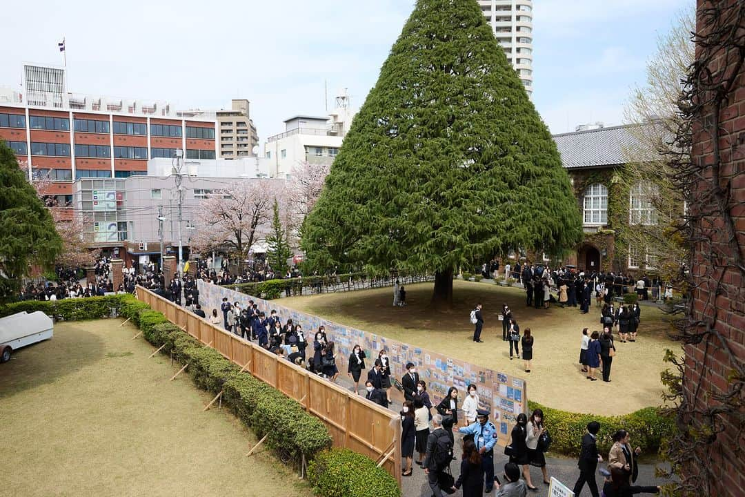 立教大学さんのインスタグラム写真 - (立教大学Instagram)「立教大学入学式⚜ 新入生の皆さん、ご入学おめでとうございます。  2023年4月5日（水） 理学部、異文化コミュニケーション学部、経営学部（経営学研究科国際経営学専攻含む）、社会学部、スポーツウエルネス学部、観光学部、現代心理学部（各研究科含む）  #立教大学入学式 #入学式 #祝入学 #入学おめでとう #春から立教 #graduation #rikkyouniversity #立教 #立教大学 #池袋 #ikebukuro #coregraphy #photography #ファインダー越しの私の世界」4月6日 15時45分 - rikkyouniv