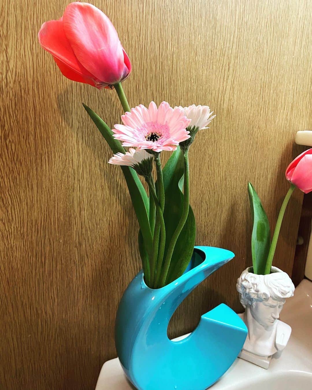 西沢幸奏さんのインスタグラム写真 - (西沢幸奏Instagram)「実家に帰ったときに、埼玉のチューリップ畑にいきました🌷🌈 きれいー！ 持って帰って、花瓶に飾ってます★」4月6日 15時45分 - shiena_nishizawa