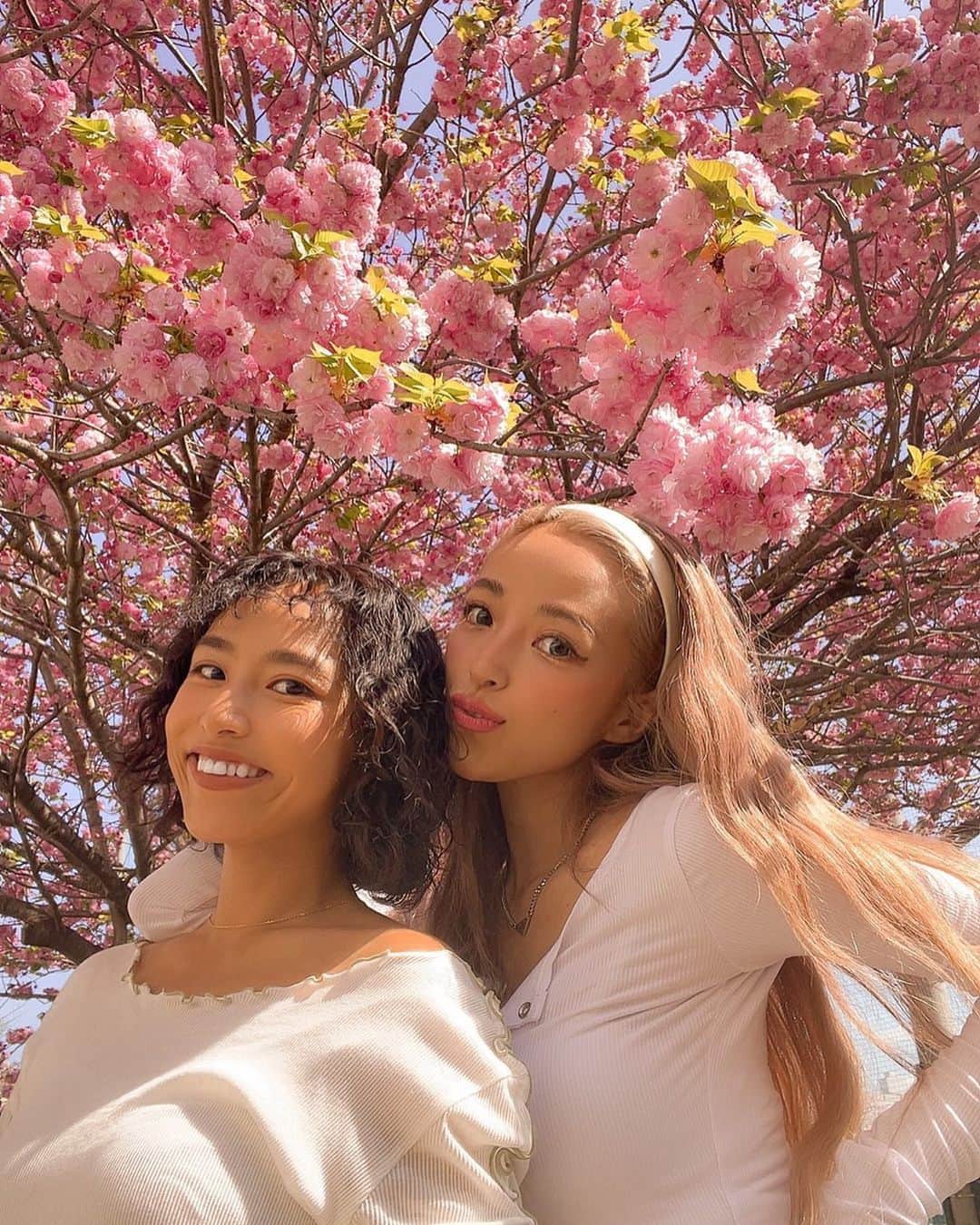 ユミ さんのインスタグラム写真 - (ユミ Instagram)「生きてきて今が一番 お花や緑や木、植物が大好きで、 同時にそのパワーにありがたみも感じる🌸🥰💕🌱 触れたり呼吸をする度に happyがチャージされていくからやっぱり大地はすっごいね💖🌈🌸🌳 今春はたくさん桜に会えて幸せ〜❣🌸🌸🥹🥰 季節のお花にまた会いに行こう😍  🌸桜ランチよかったね〜🌸🍔🍟 w/ @tsuuguumi 🫰🏼」4月6日 16時04分 - yuminchu1029