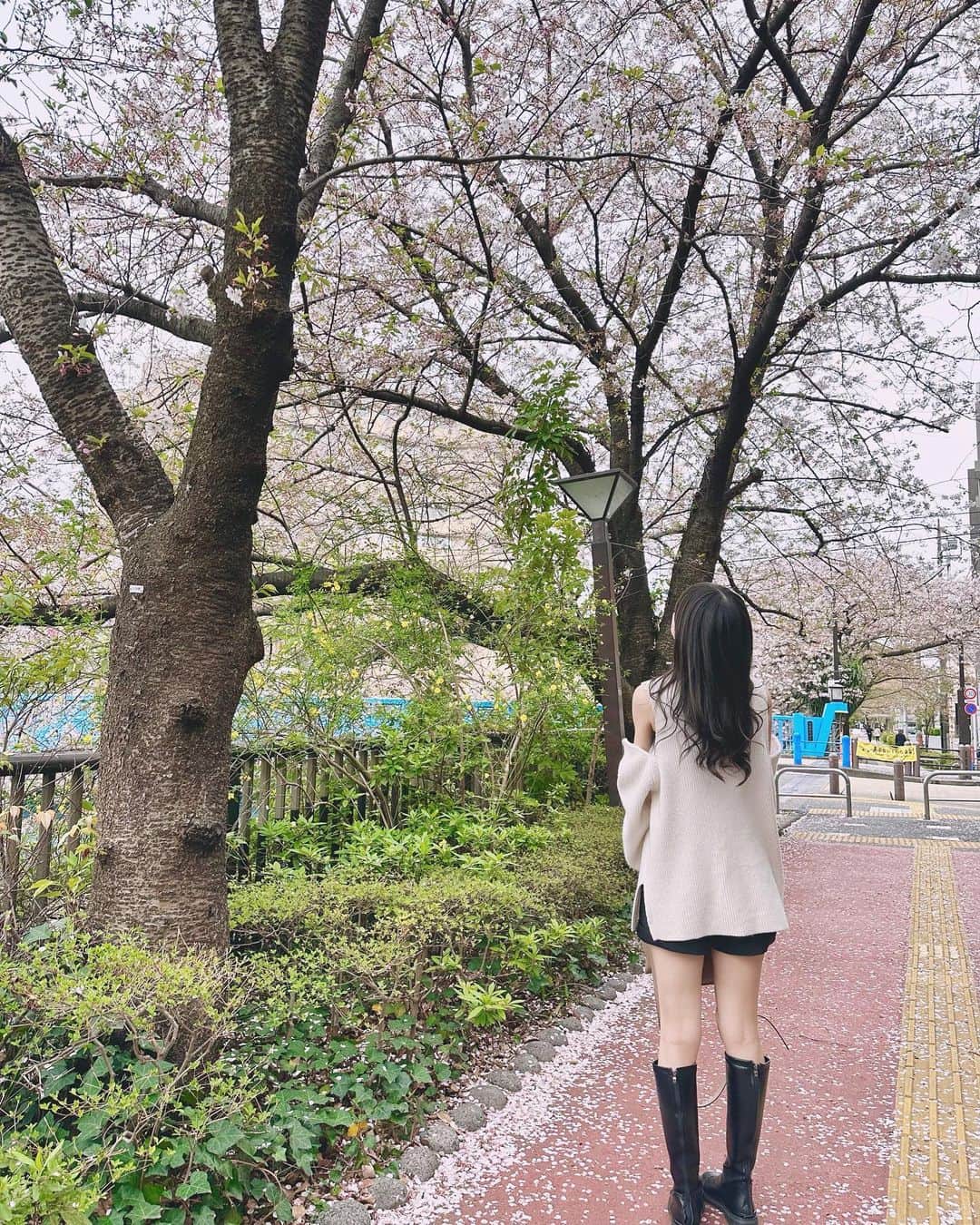 八木沙季のインスタグラム：「🤍🤍  東京に引っ越してきて1週間！ まだちょっと寂しいけど毎日色んなことが 新鮮でとっても楽しいです🌸 今の目標は乗換案内アプリを使わずに どこでも行けるようになることです✊ 何年かかるかな🤷🏻‍♀️  東京のお友達のみなさん ぜひ遊びに誘ってください☺️🫶  #中目黒  #桜」