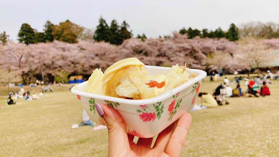 二宮歩美さんのインスタグラム写真 - (二宮歩美Instagram)「『赤城南面千本桜まつり🌸』 何年振りだろう？？ 群馬で有名なお花見スポットにやって参りました🙌  とにかく桜や菜の花が大満開で今がシーズン🍃  たくさんの出店も並んでいたり、大道芸や猿回しのショーもあったり大満喫🐒  春を全力で感じられました🌸  #赤城南面千本桜 #千本桜 #群馬おススメスポット #花見 #二宮歩美」4月6日 16時25分 - ninomiyaayumi