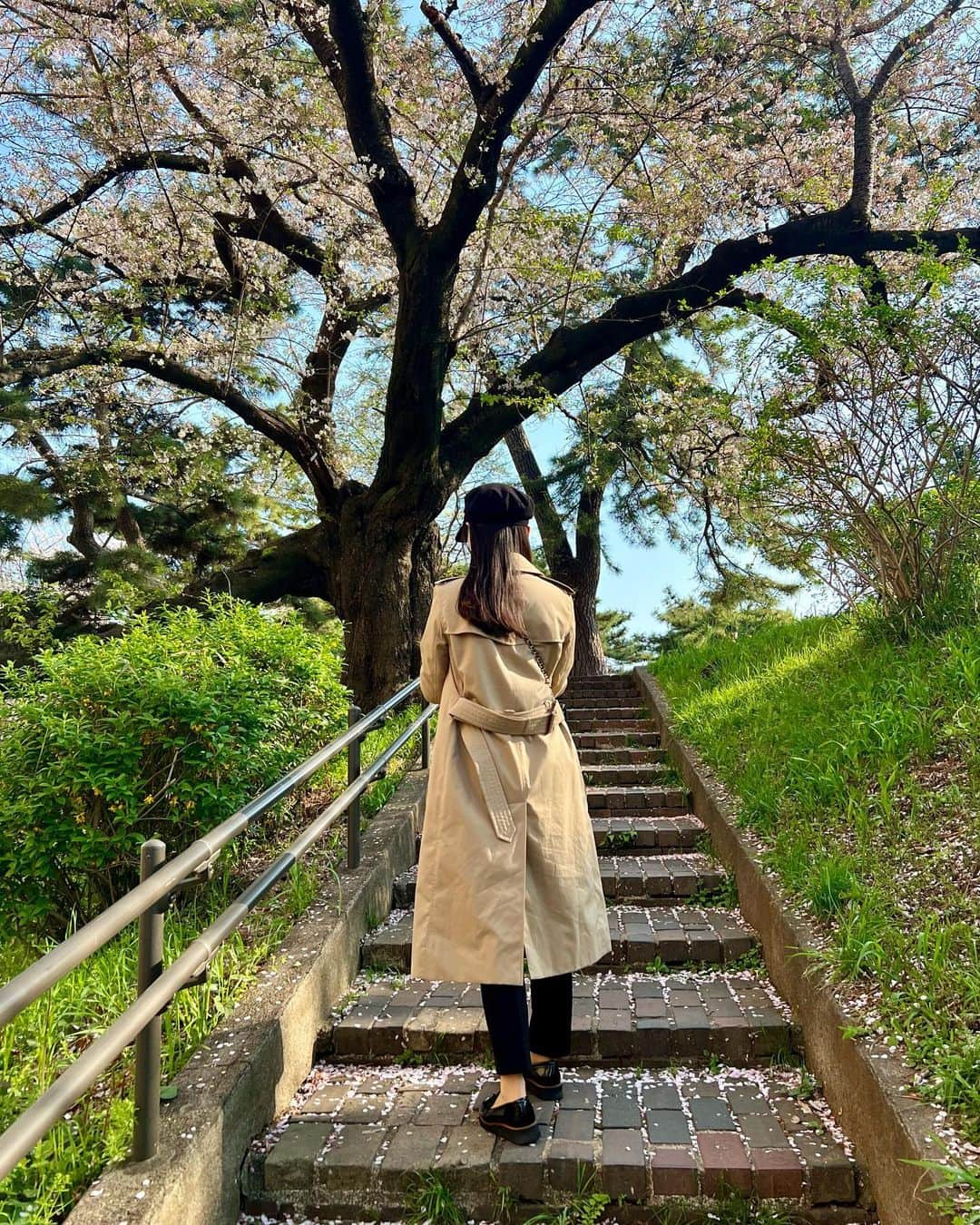 内田侑希のインスタグラム：「ソメイヨシノは葉桜になってきましたね〜 最近は八重桜がとってもきれいで嬉しい☺️ 好きな桜はありますか🌸」