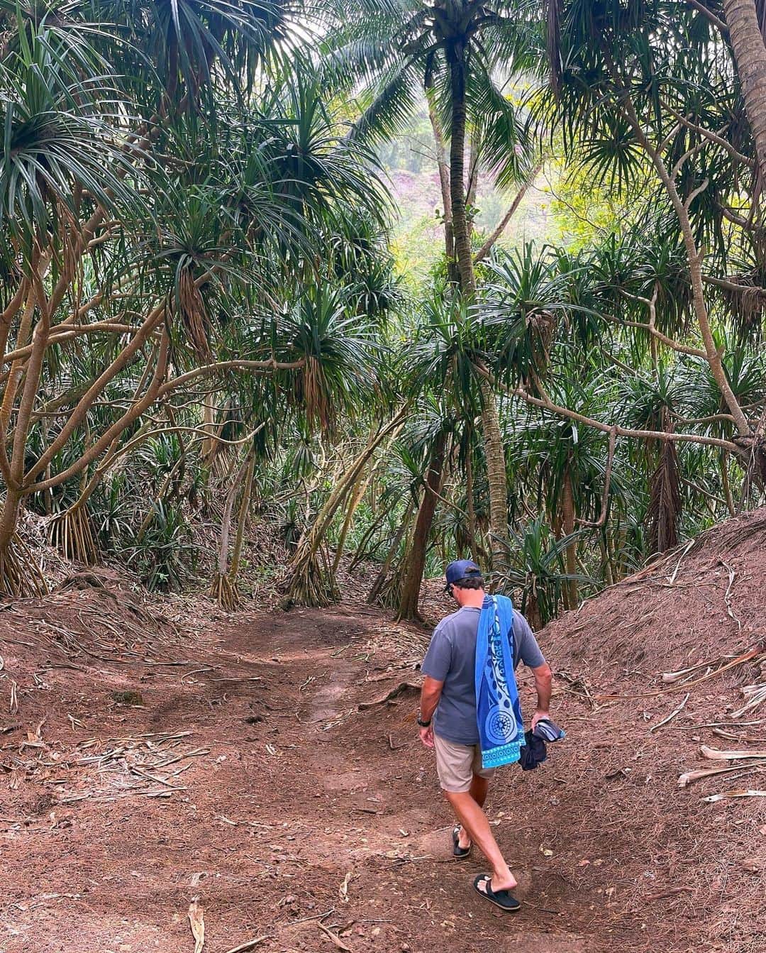 フェリシティー・パルマティアーさんのインスタグラム写真 - (フェリシティー・パルマティアーInstagram)「more bits and bobs from Kauai ⛰️」4月6日 8時19分 - flickpalmateer