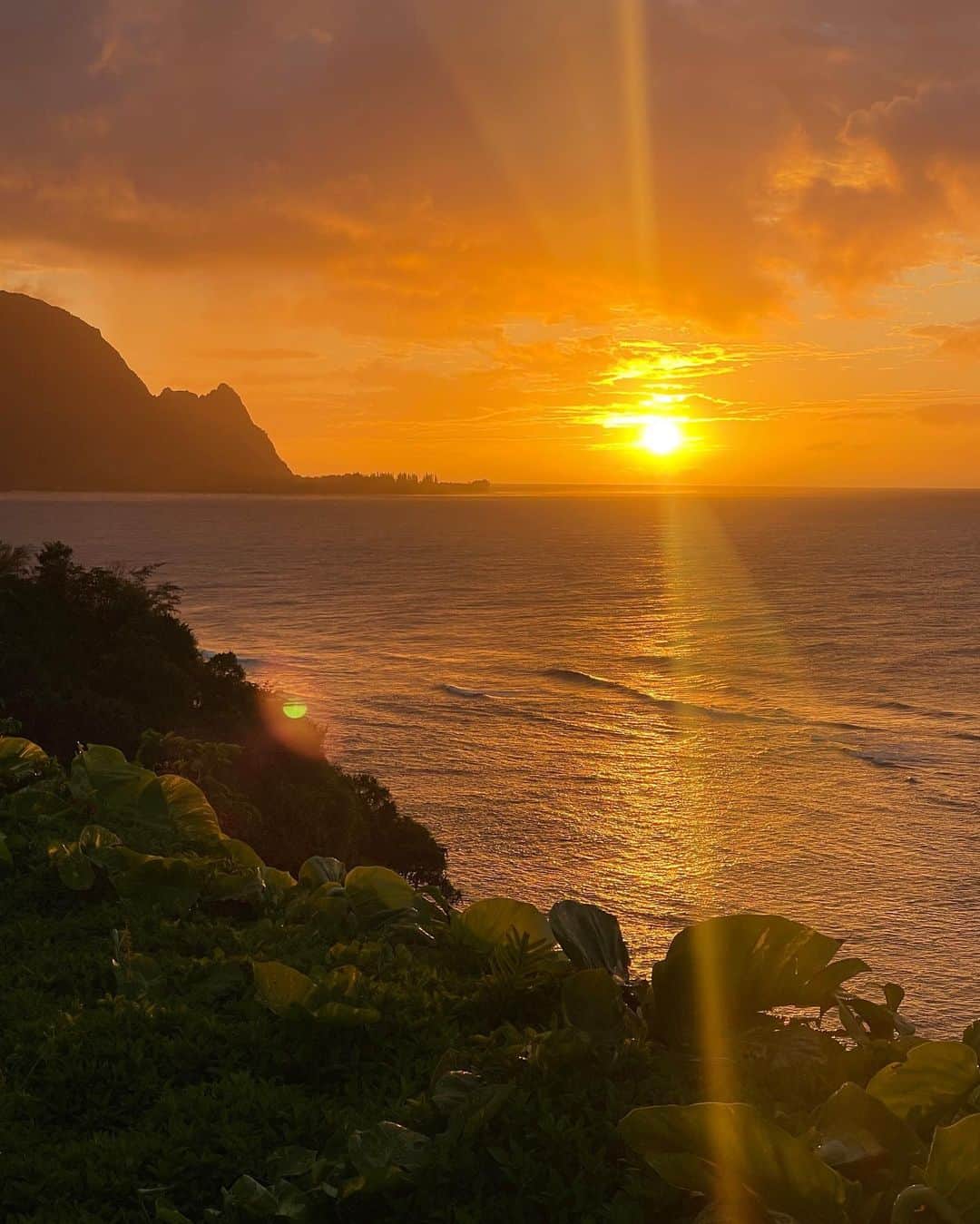 フェリシティー・パルマティアーのインスタグラム：「more bits and bobs from Kauai ⛰️」