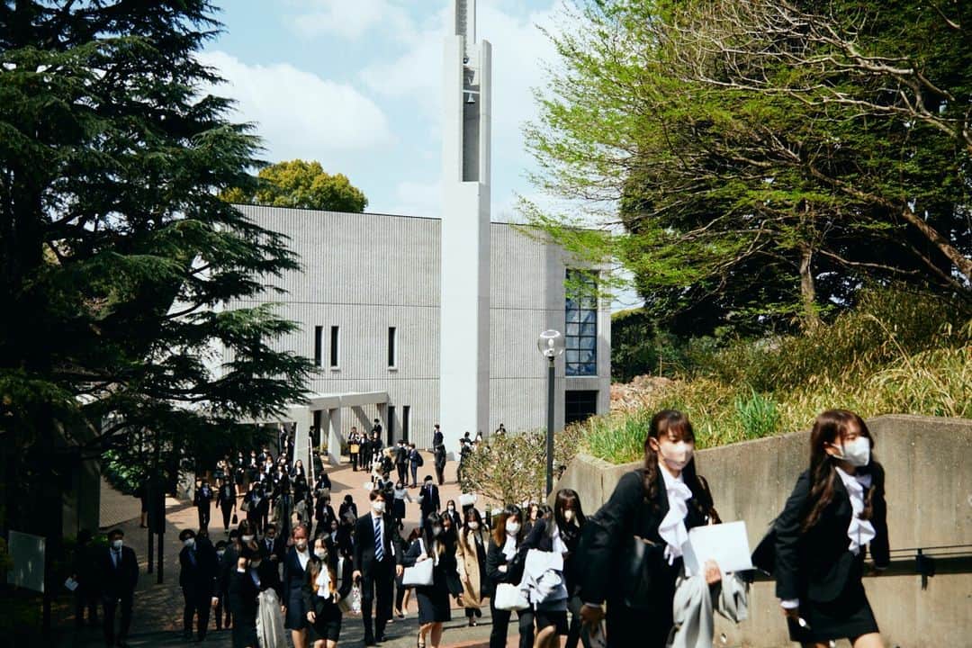 Meiji Gakuin/明治学院大学/明学さんのインスタグラム写真 - (Meiji Gakuin/明治学院大学/明学Instagram)「㊗️ご入学おめでとうございます㊗️  4月1日、3日、白金・横浜両キャンパスにて 2023年度入学式を執り行いました🌸  当日の様子をお届けします📷  2023年度新入生の皆さん！ ご入学おめでとうございます💐  当日撮影にご協力いただいた皆さん、 ありがとうございました。  #明治学院大学 #白金キャンパス #横浜キャンパス #白金 #横浜 #戸塚 #春 #入学 #入学おめでとう #入学式 #春学期 #春学期もがんばろう #春から明学2023 #春からmgu #春から大学生 #明学 #明治学院 #明学人 #勉強 #大学 #授業 #明学生 #明学ライフ #大学生活 #mgu #meijigakuinuniversity #meijigakuin #meigaku #photography #photographerㅤㅤ」4月6日 14時00分 - mguniv