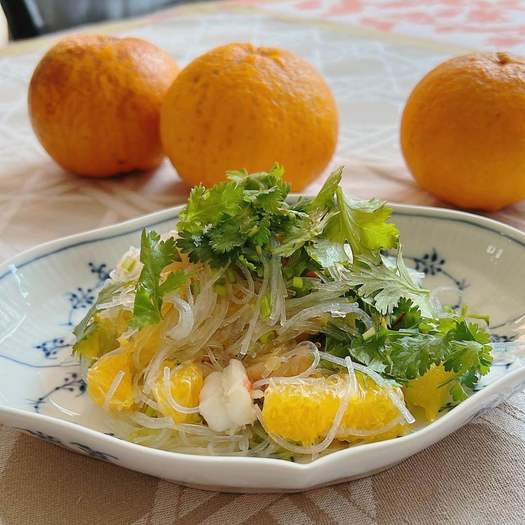 早見優さんのインスタグラム写真 - (早見優Instagram)「Made a refreshing Thai glass noodle salad with shrimp and Amanatsu mikan, a citrus fruit that grows in the backyard of homes in Japan.  I have 3 more left. Hmmm. What else can I make?  甘夏みかんと海老のタイ風サラダ  #salad #thai #refreshing #citrus #homecooking #甘夏みかん #柑橘 #🍊」4月6日 9時11分 - yuyuhayami