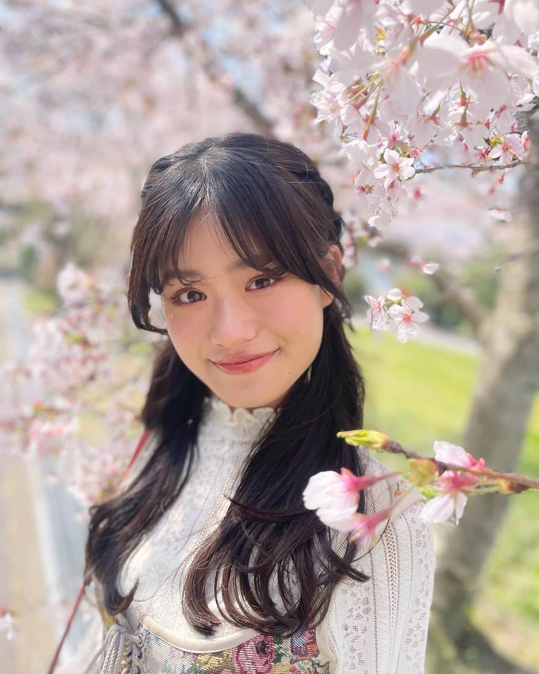 平日菜向のインスタグラム：「🌸🌸🌸  #桜 #ツインテール #06 #ljk」