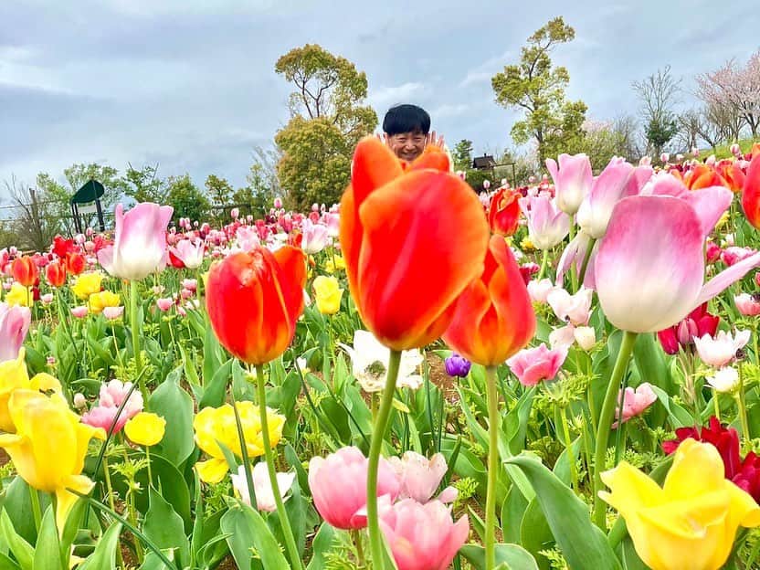 依田司さんのインスタグラム写真 - (依田司Instagram)「4月6日（木） 神奈川県平塚市の花菜ガーデンから春爛漫のお花畑をご紹介。 チューリップをはじめ、スイセン、アネモネなど５６品種７万球の花々が咲き誇っています。 お花畑の中に散策路があるので気に入ったお花を身近に愛でることが出来ます。 そして、花より団子という方にも必見です。「春限定お花見ピクニック」と題してお料理はもちろん、デザート、レジャーシートなど、手ぶらでピックニックが出来るセットが登場しました。また、土日限定でオムレツやフレンチトースト、自家製ハムのオープンサンドなどのモーニングが頂けます。  あしたは、広島県からの中継です。 広島の皆さんとは、きょう夕方の「ピタニュー」でお会いいたしましょう。  #花菜ガーデン #GAP #ギャップ #依田さん #依田司 #お天気検定 #テレビ朝日 #グッドモーニング #サタデーステーション #気象予報士 #お天気キャスター #森林インストラクター #グリーンセイバーアドバンス #プロジェクトワイルド #IPCC伝導者 #japan #japantrip #japantravel #unknownjapan #japanAdvenそture #japanlife #lifeinjapan #instagramjapan #instajapan #療癒 #ilovejapan #weather #weathercaster #weatherforecast」4月6日 9時38分 - tsukasa_yoda