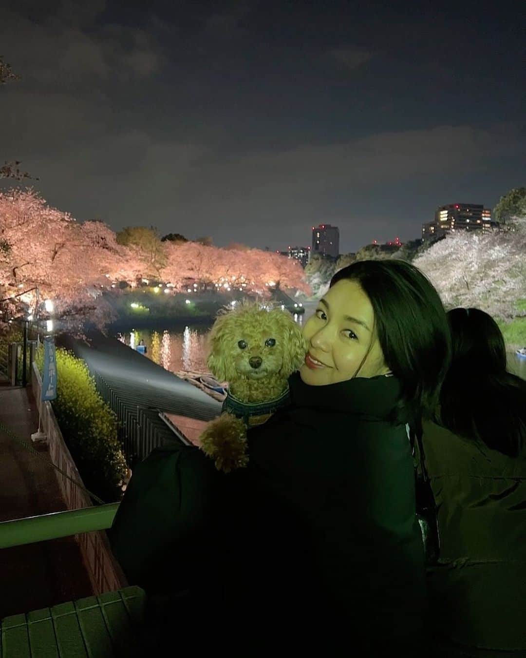 日下裕江のインスタグラム：「千鳥ヶ淵夜桜ライトアップ❀.*･ﾟ  千鳥ヶ淵のライトアップされた夜桜を見るのは初めて✨  昼間も凄く綺麗だけど、 夜桜も幻想的で素敵でした❀.*･ﾟ  いつもボートに乗りたいと思うけど、 結局はまた今度で一度も乗ったことがない🚣‍♀️  今後も乗ることはあるのだろうか？笑  ロルも嬉しそうでした🐶✨  #千鳥ヶ淵の桜 #千鳥ヶ淵ライトアップ #千鳥ヶ淵夜桜 #千鳥ヶ淵夜桜ライトアップ #夜桜 #夜桜ライトアップ #桜 #お花見」