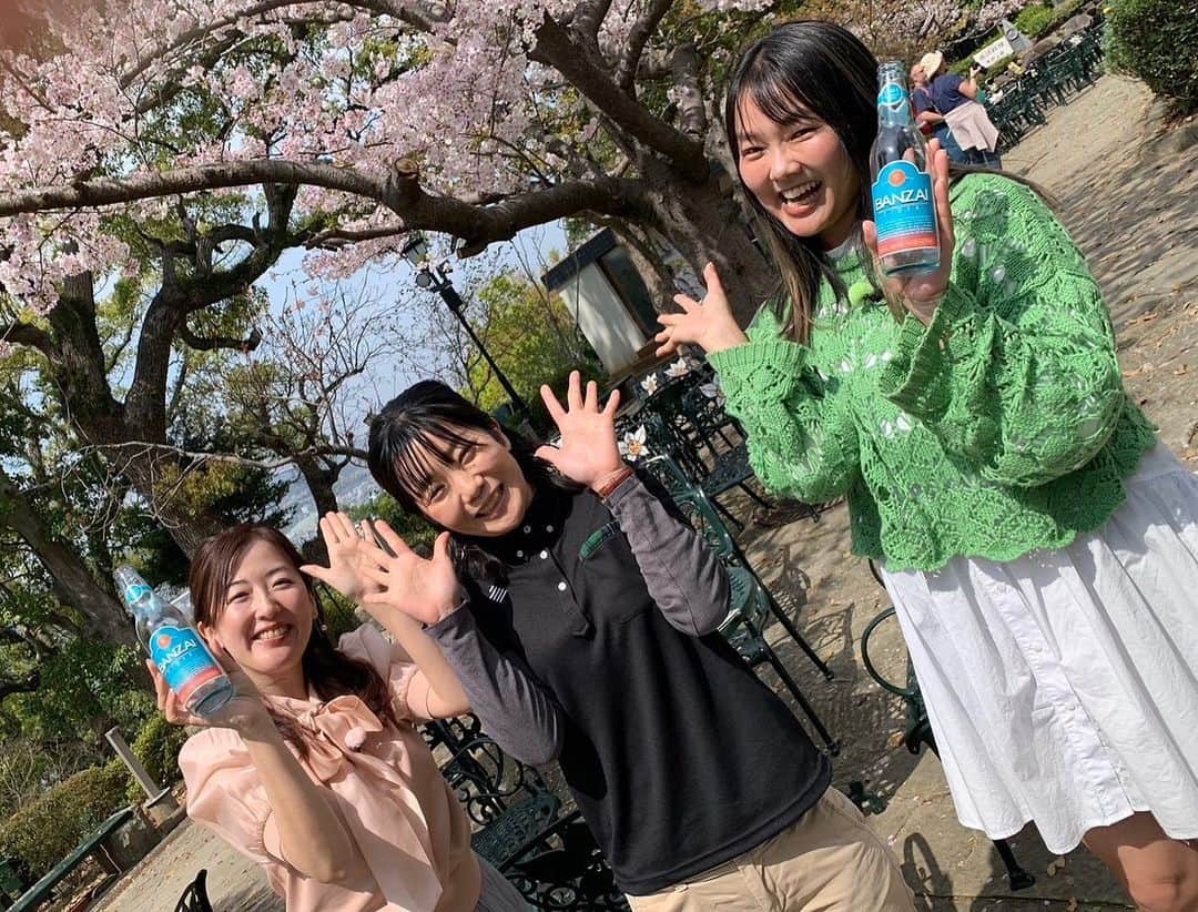 前田真里のインスタグラム：「今日の #ひるドキ！は、グラバー園からです🤗🌸  🧡　💛　🧡　💛　🧡　💛　4/6(木)10:25から #ひるドキ！👀✨  春の #グラバー園 で歴史を感じる‼️ リニューアルした旧ウォーカー住宅へ  新生活を彩る家具🖼️& インテリアをチェック🪑  #長崎 #NCCは5ch  🧡　💛　🧡　💛　🧡　💛　🧡」