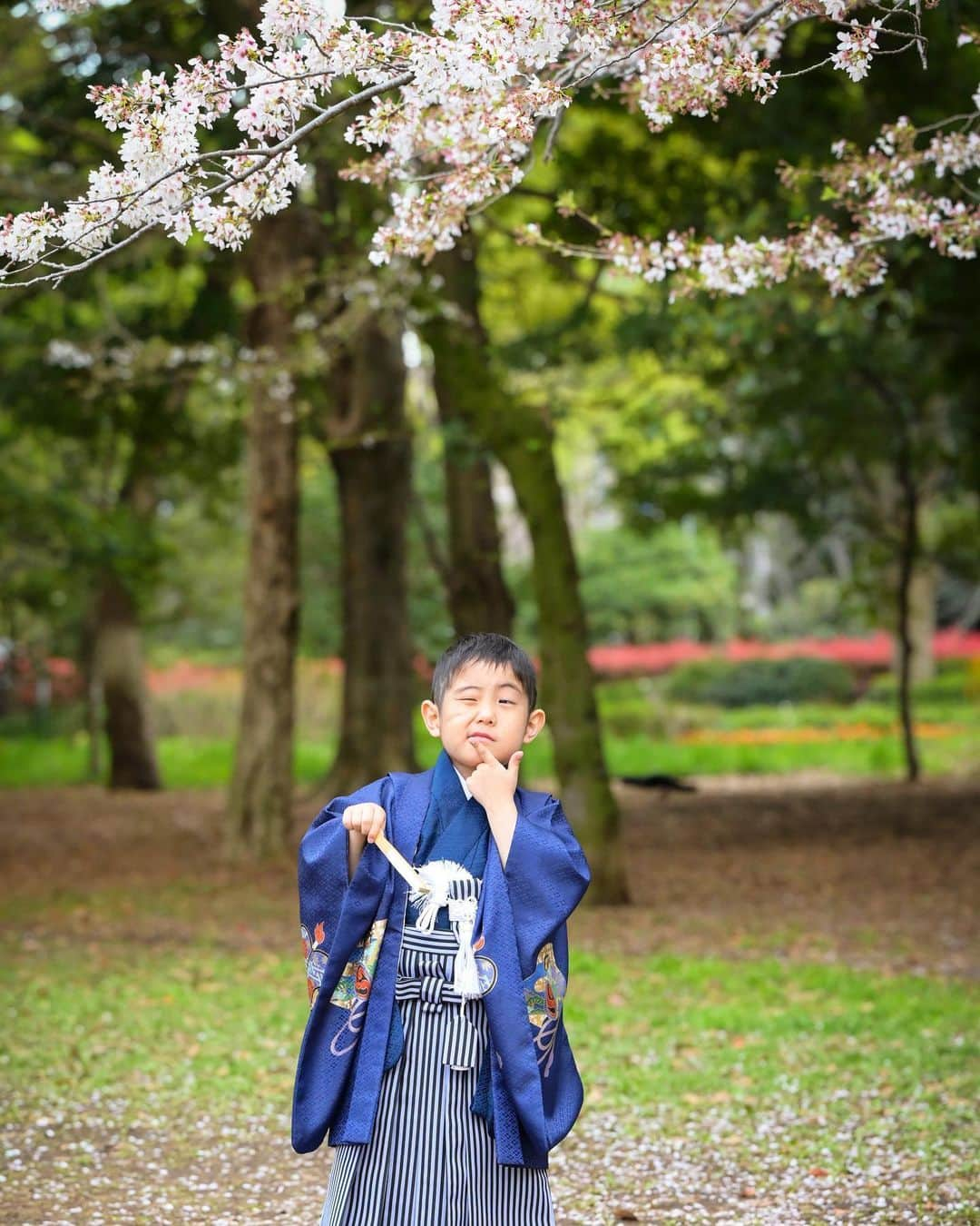 藤田志穂さんのインスタグラム写真 - (藤田志穂Instagram)「子鉄もよく頑張りました👏 ・ 今はおしりたんていブーム中なので、ポーズがほぼおしりたんてい🤣 ・ 本当は山手線持って撮りたかったんだけどなぁ🥹🚃 ・ それにしても ちょいちょい文句を言いながらも、着付けも撮影も移動も、全部頑張ってくれた🙌 ・ 年齢的にもこのタイミングだったからこそ、スムーズに出来たのもあるのかな？🤔 ・ ちなみに 着物を嫌がる子もいるとの事だったので、1週間ほど前から着物の写真を見せながら。。。 ・ 👩「これ、母ちゃんと一緒に着ようね〜？」 👩「ほら、着物のズボンが母ちゃんの着物と同じしましまだ💙」と写真を見せながら予告してた😂 ・ そのおかげか、着物も嫌がる事なく着る事が出来ました☺️ ・ 撮影後の千歳飴は格別だったようです🤣🍭 ・ #桜の七五三  #七五三  #753 #おしりたんてい」4月6日 10時31分 - shiho_fujita44