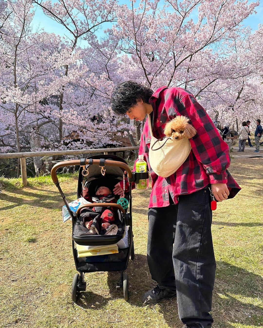 島崎力斗さんのインスタグラム写真 - (島崎力斗Instagram)「3年ぶりの地元は家族で来れてよかった🌸🌸 #高遠城址公園 #天下一の桜 #おそろコーデ  #地元#長野県駒ヶ根市 #家族旅行」4月6日 10時37分 - shimazaki_rikito