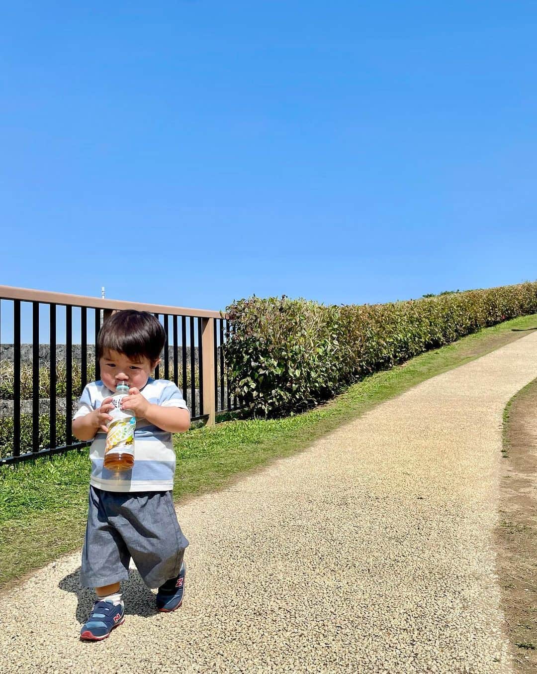 いわさきふきこ さんのインスタグラム写真 - (いわさきふきこ Instagram)「🌺沖縄1日目🌺　首里城公園  1歳児、首里城の長い階段を自身を鼓舞しながら上り(登り)きりました👏観光客の皆さんからも沢山褒められて嬉しそう。下りは慎重に🤭  #1歳10ヶ月 #1歳11ヶ月 #令和3年5月ベビー #首里城 #首里城公園 #爽健美茶 #時差投稿 #親子三世代旅行」4月6日 11時01分 - fukikoiwasaki