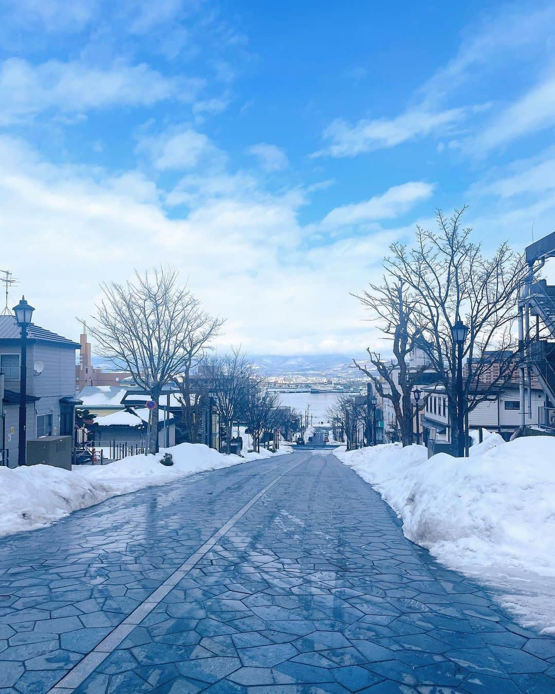 山岡実乃里さんのインスタグラム写真 - (山岡実乃里Instagram)「今更の #北海道旅行 ☃️ 載せる人🙋‍♀️🐮🧀🐟🥩  #北海道 #函館 #札幌 #hokkaido  #函館山 #札幌時計台  #instatravel #japantravel」4月6日 17時04分 - minorin1016