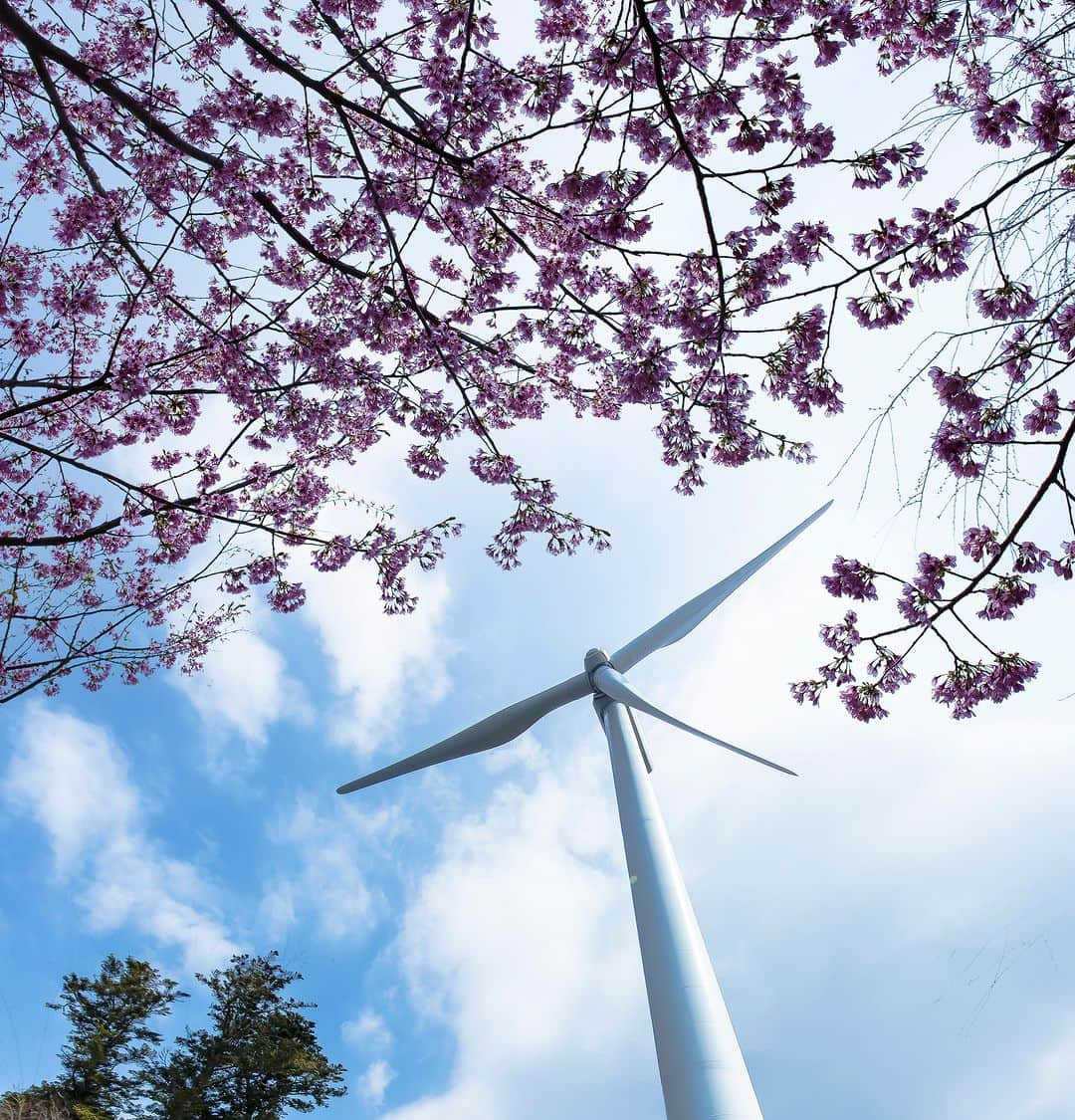 東京電力ホールディングス株式会社のインスタグラム