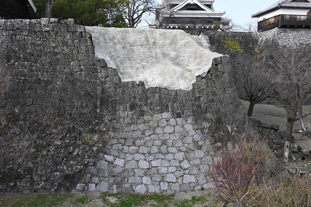 熊本城さんのインスタグラム写真 - (熊本城Instagram)「【熊本城を学ぼう　くまもとお城大学🏫】 このシリーズでは、熊本城の基礎知識等をご紹介していきます！  今回の講義は、、、 ～石垣の上の白い謎、お答えします～  崩れた石垣の白い部分。 先に答えを言いますが、これ「モルタル」って言います。 まあ、名前だけ言われてもWhat’s？って感じですよね。 簡単に説明していきます。  モルタルは「セメント＋砂(５㎜以下)＋水」を混ぜ合わせて作られる建築材料です。 コンクリートと比べ柔軟性やデザイン性をもつこの素材は、 ・レンガを積み上げる際の接着剤としての役割(目地材) ・壁や床などにタイルを張る際の下地(下地材) ・外壁や内装壁の仕上げ(仕上げ材)　　　　　　　　　　　 などとして使用されます。 オシャレなところにモルタルあり、です。  熊本城においては、崩落箇所にモルタルが使用されています(モルタル吹付工)。 モルタルを吹き付けることで、斜面を風化・浸食から守ることができ、崩壊や落石を防止することができます。 ただ、ガッチリ固めているわけではないので一般的には抑止力はなく、あくまで仮止めになります。 今後積み直しが進めば見られなくなる、今だけの光景なのです。  復旧工事中の熊本城には、「これってなんだろう」と思われる部分が多いかもしれません。 他にも何か疑問がありましたらコメントしてくださいね👍  (写真：馬場道浩)  #kumamoto #japan #japantrip #instagood #instagram #kumamotocastle #日本 #熊本 #熊本城 #城 #castle #加藤清正 #日本100名城 #熊本観光 #観光 #trip #cooljapan #石垣 #復旧 #工事 #モルタル #もるたる #おしゃれなところに #きっと #モルタル #オシャモル」4月6日 11時53分 - kumamoto_castle