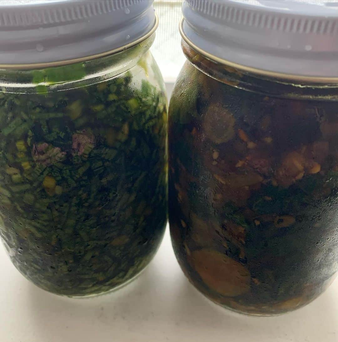 TGMX aka SYUTA-LOW TAGAMIのグルメインスタ