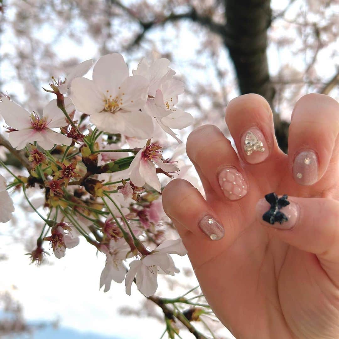 山口みらんさんのインスタグラム写真 - (山口みらんInstagram)「🎀💕💓💗🌸  #newnails 💅 #venusbelt 💎 #shibuya 🏢  今回はピンクで春らしく🌸 桜色？🌸  キルティングもとても可愛くて1番お気に入りです…🥹💗  春に向けて春色ネイル皆さんもぜひ！VENUSBELTさんでしてみてくださいね.ᐟ‪‪‪.ᐟ‪‪‪  学生さんにもオススメなサロンです(๑•̀ㅁ•́ฅ✨  saoちゃんいつもとっても可愛いネイルをありがとう⸜🌷︎⸝‍  可愛いこのネイルがあるとどんな日も自然と気分が上がります(˶ˊᵕˋ˵)  ご飯楽しみにしてます⸜(* ॑ ॑* )⸝♡  #newnails #newnail #渋谷 #渋谷ネイル #かわいいネイル #ネイル #シンプルネイル #ピンクネイル #kawaiinail #kawaii  #pink #桜」4月6日 12時35分 - yamaguchi_miran