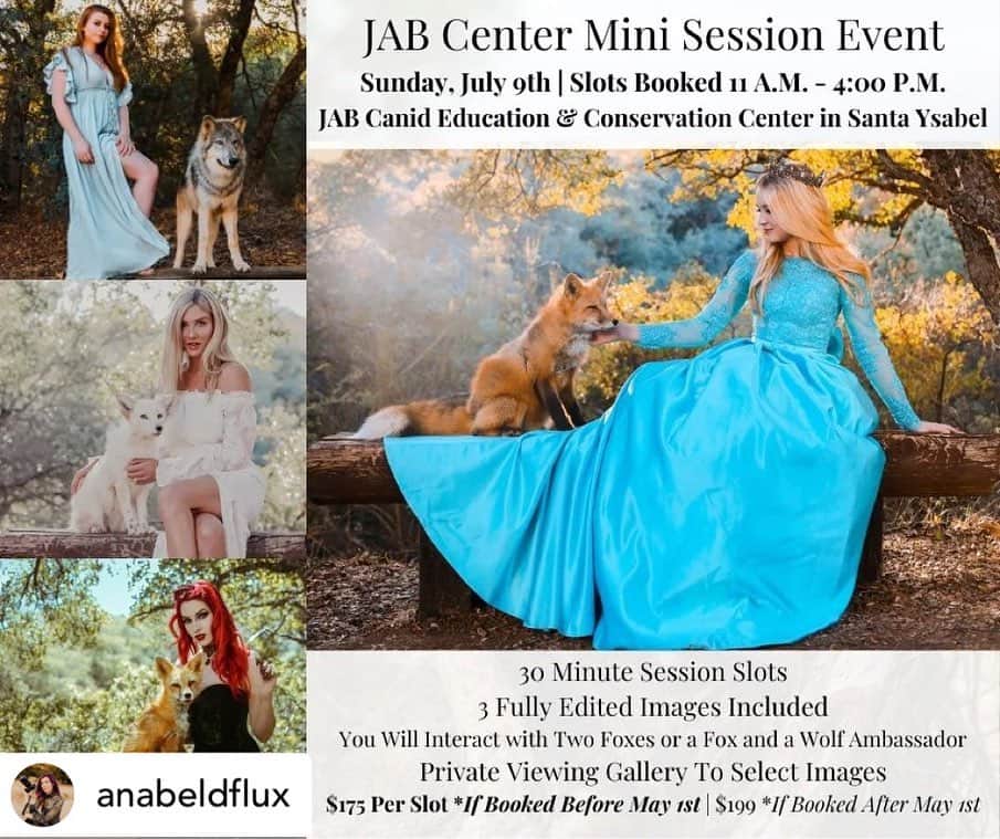 Rylaiさんのインスタグラム写真 - (RylaiInstagram)「Posted @withregram • @anabeldflux The famous Fox Mini Sessions at @jabcecc are back! July 9th, slots being booked from morning to later afternoon 🦊Come meet the beautiful animals of this incredible nonprofit and get photographed with them! We're offering a special rate of $175 if booked before May 1st ✨  Book at www.JABCECC.org!   Featured are some previously unreleased shots of @laurapope357 with Viktor and Maksa 🦊  ✨ Gear talk: @sigmaphoto 24-70mm F/2.8 DG HSM | A + Canon 5D Mark IV. ✨ • • • • #photographerlife #photography #photographer #portrait #sigma #sigmaphoto #sigmaart #sigmalens #dflux #dfluxphotography #deliquesceflux #deliquescefluxphotography #fox #foxes #foxesofinstagram #jabcanideducationandconservationcenter #california #socal #southerncalifornia #sandiego #animals #animalsofinstagram #nonprofit #education #conservation」4月6日 12時56分 - jabcecc