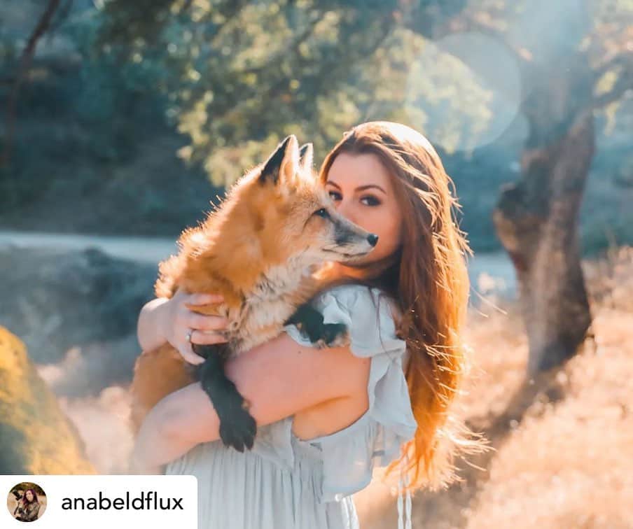 Rylaiのインスタグラム：「Posted @withregram • @anabeldflux The famous Fox Mini Sessions at @jabcecc are back! July 9th, slots being booked from morning to later afternoon 🦊Come meet the beautiful animals of this incredible nonprofit and get photographed with them! We're offering a special rate of $175 if booked before May 1st ✨  Book at www.JABCECC.org!   Featured are some previously unreleased shots of @laurapope357 with Viktor and Maksa 🦊  ✨ Gear talk: @sigmaphoto 24-70mm F/2.8 DG HSM | A + Canon 5D Mark IV. ✨ • • • • #photographerlife #photography #photographer #portrait #sigma #sigmaphoto #sigmaart #sigmalens #dflux #dfluxphotography #deliquesceflux #deliquescefluxphotography #fox #foxes #foxesofinstagram #jabcanideducationandconservationcenter #california #socal #southerncalifornia #sandiego #animals #animalsofinstagram #nonprofit #education #conservation」