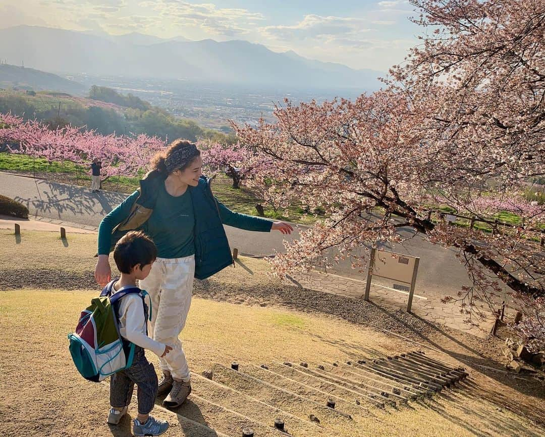 仲川希良のインスタグラム