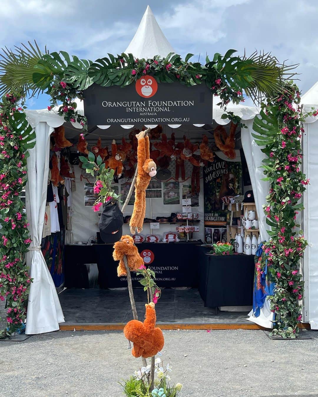 OFI Australiaのインスタグラム：「We’re so excited! We’re all set up and ready to go. If you’re coming to Bluesfest in Byron Bay this Easter please come visit our market stall and say hi. We’re right opposite the Delta stage. We’ve got tons of fabulous orangutan merchandise for sale - plush toys, t-shirts, headwear, bags, drinkware, jewellery and more. Or you can foster a gorgeous orphan orangutan. All proceeds help us in our fight to save orangutans.  #ofibluesfest2023 #bluesfestbyronbay #bluesfest2023 #orangutanmerchandise #saveorangutans #fosteranorangutan #orangutanfoundationinternational」