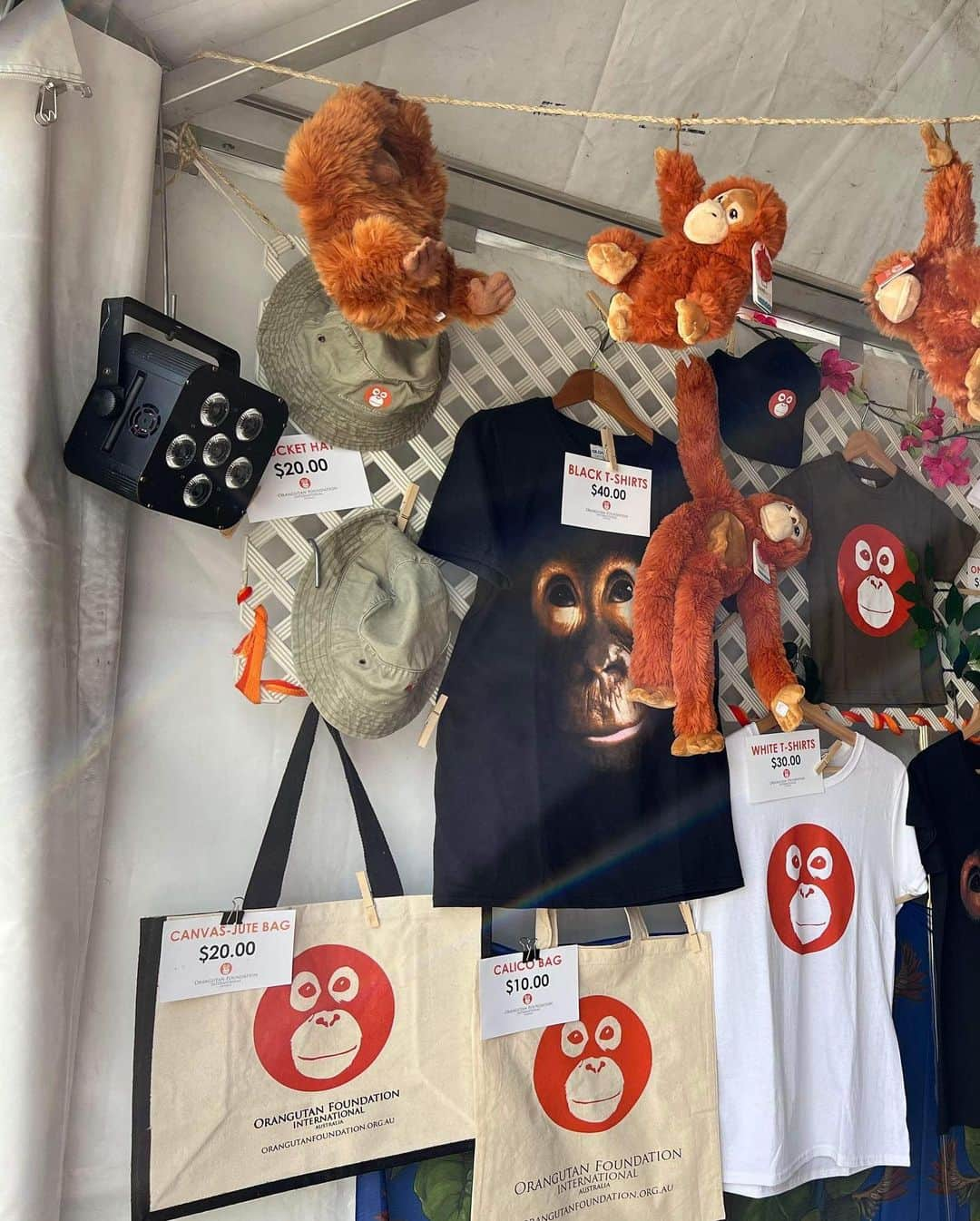 OFI Australiaさんのインスタグラム写真 - (OFI AustraliaInstagram)「We’re so excited! We’re all set up and ready to go. If you’re coming to Bluesfest in Byron Bay this Easter please come visit our market stall and say hi. We’re right opposite the Delta stage. We’ve got tons of fabulous orangutan merchandise for sale - plush toys, t-shirts, headwear, bags, drinkware, jewellery and more. Or you can foster a gorgeous orphan orangutan. All proceeds help us in our fight to save orangutans.  #ofibluesfest2023 #bluesfestbyronbay #bluesfest2023 #orangutanmerchandise #saveorangutans #fosteranorangutan #orangutanfoundationinternational」4月6日 13時22分 - ofi_australia